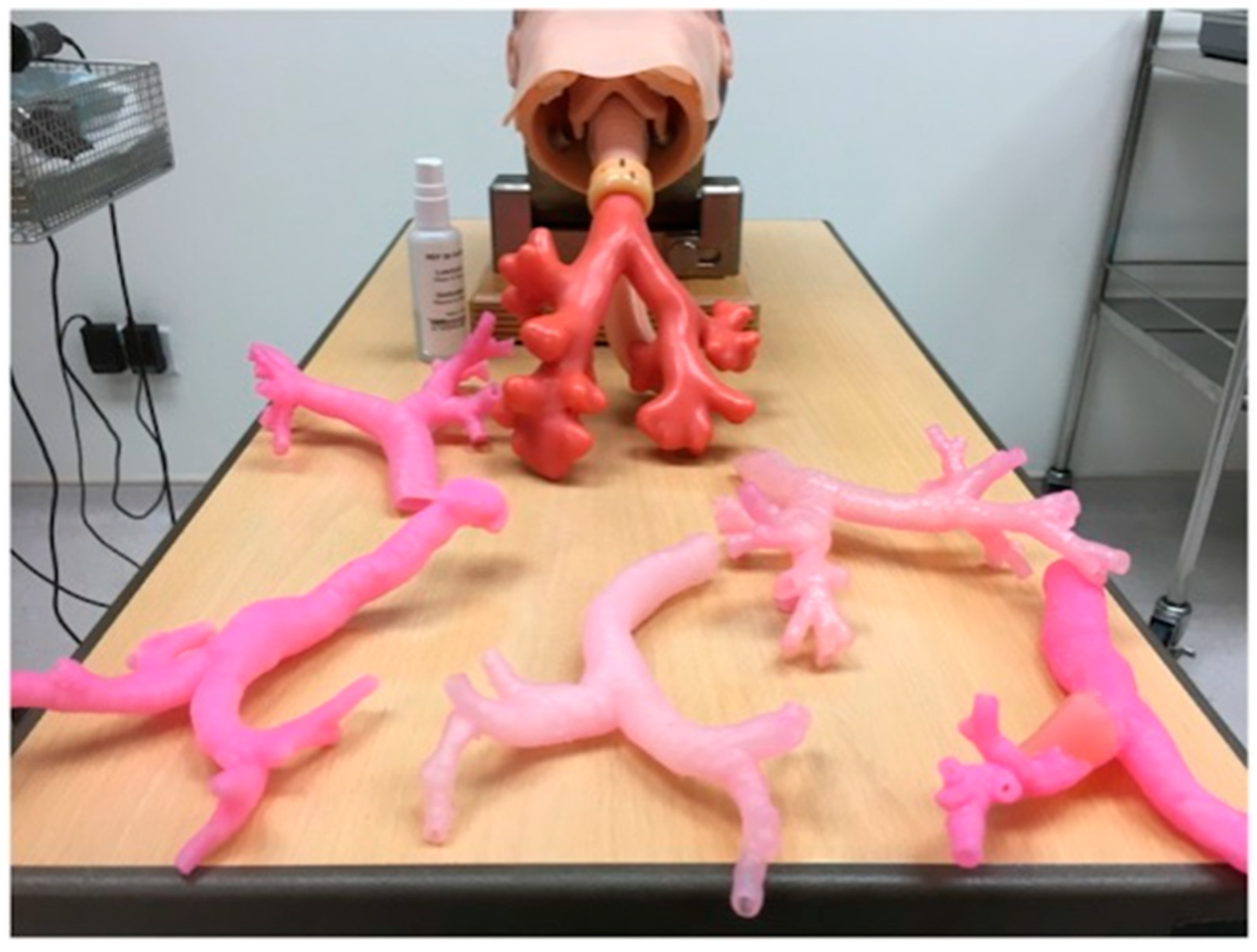 Bioengineering 12 00249 g005