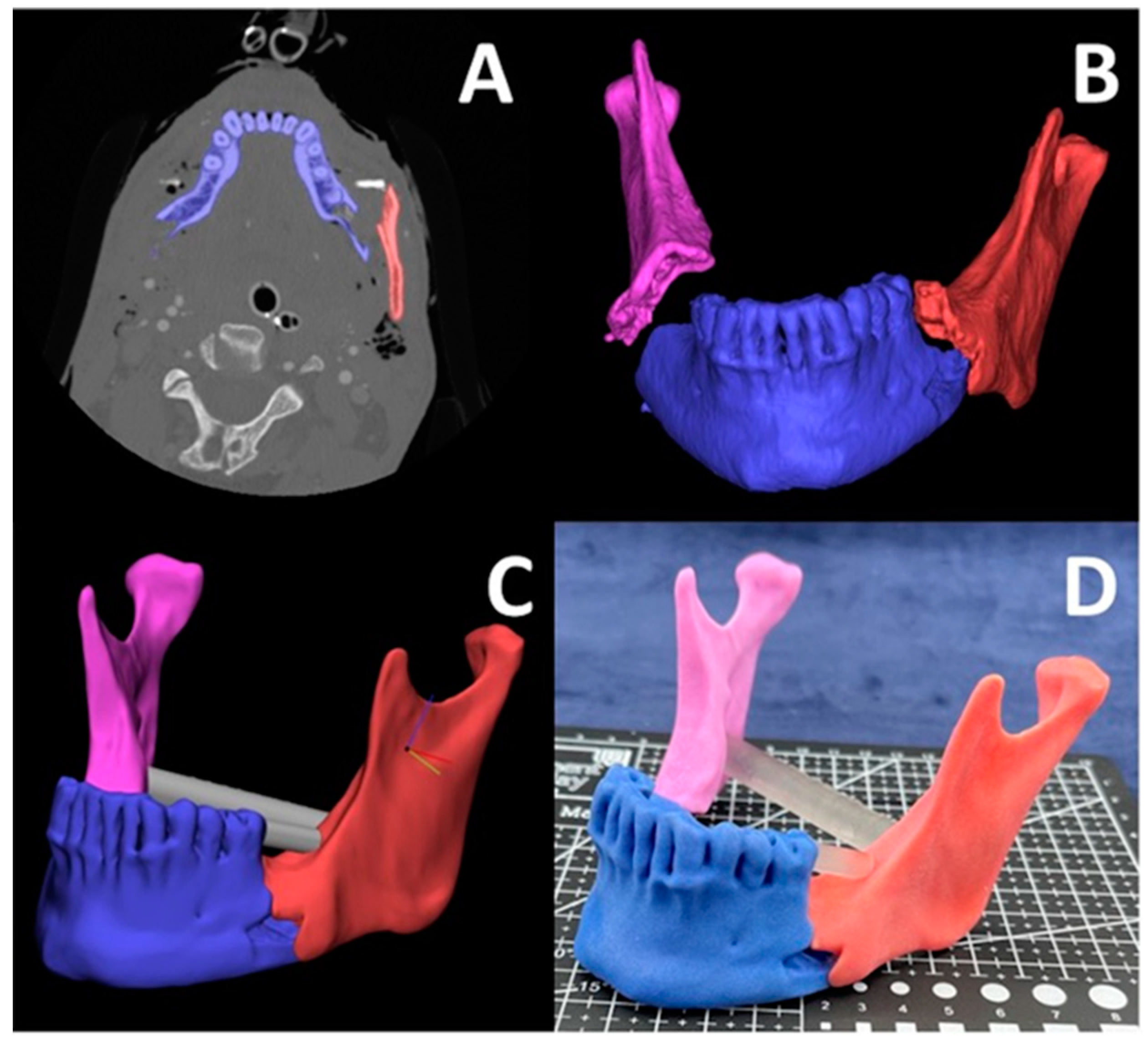 Bioengineering 12 00249 g006