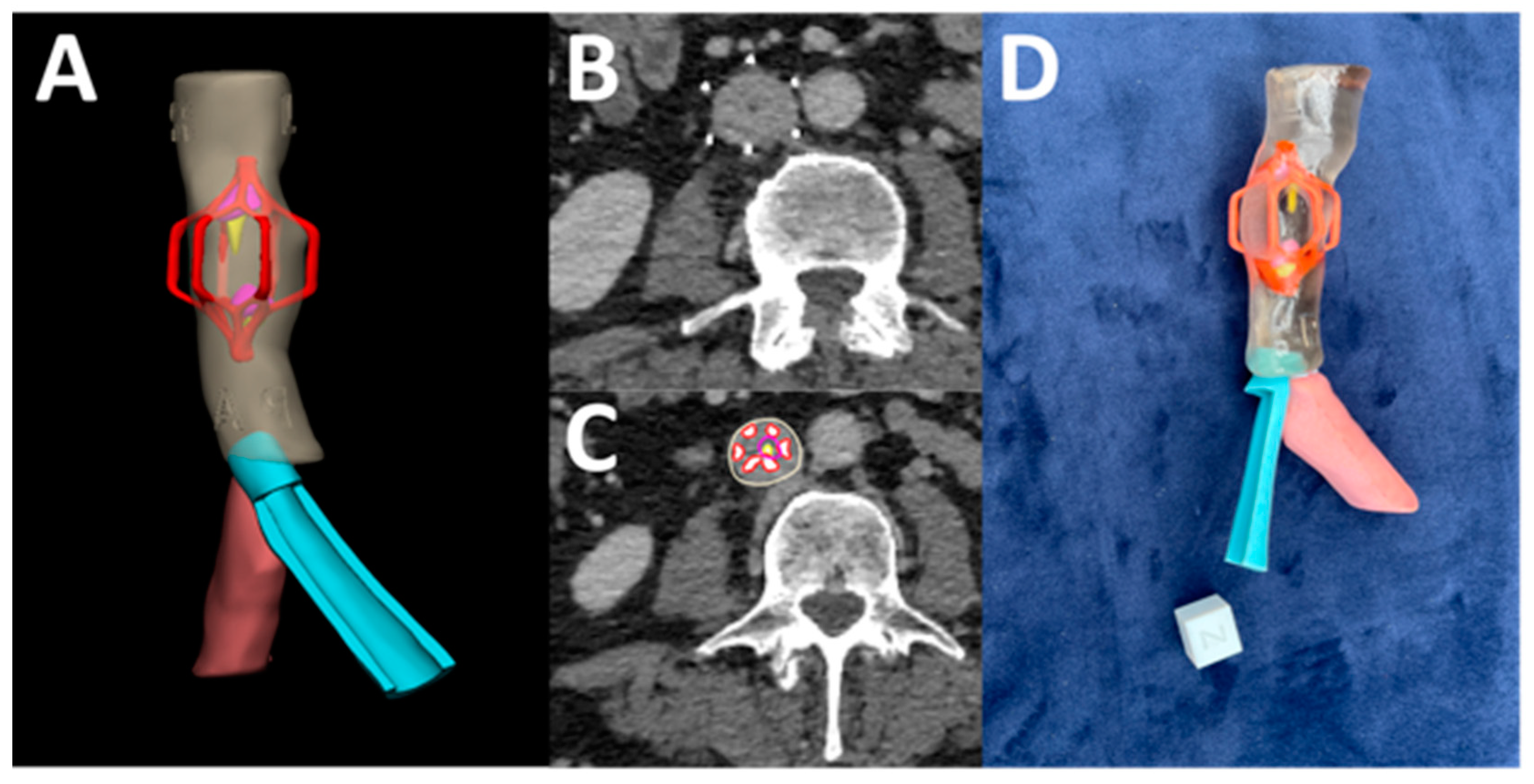 Bioengineering 12 00249 g009
