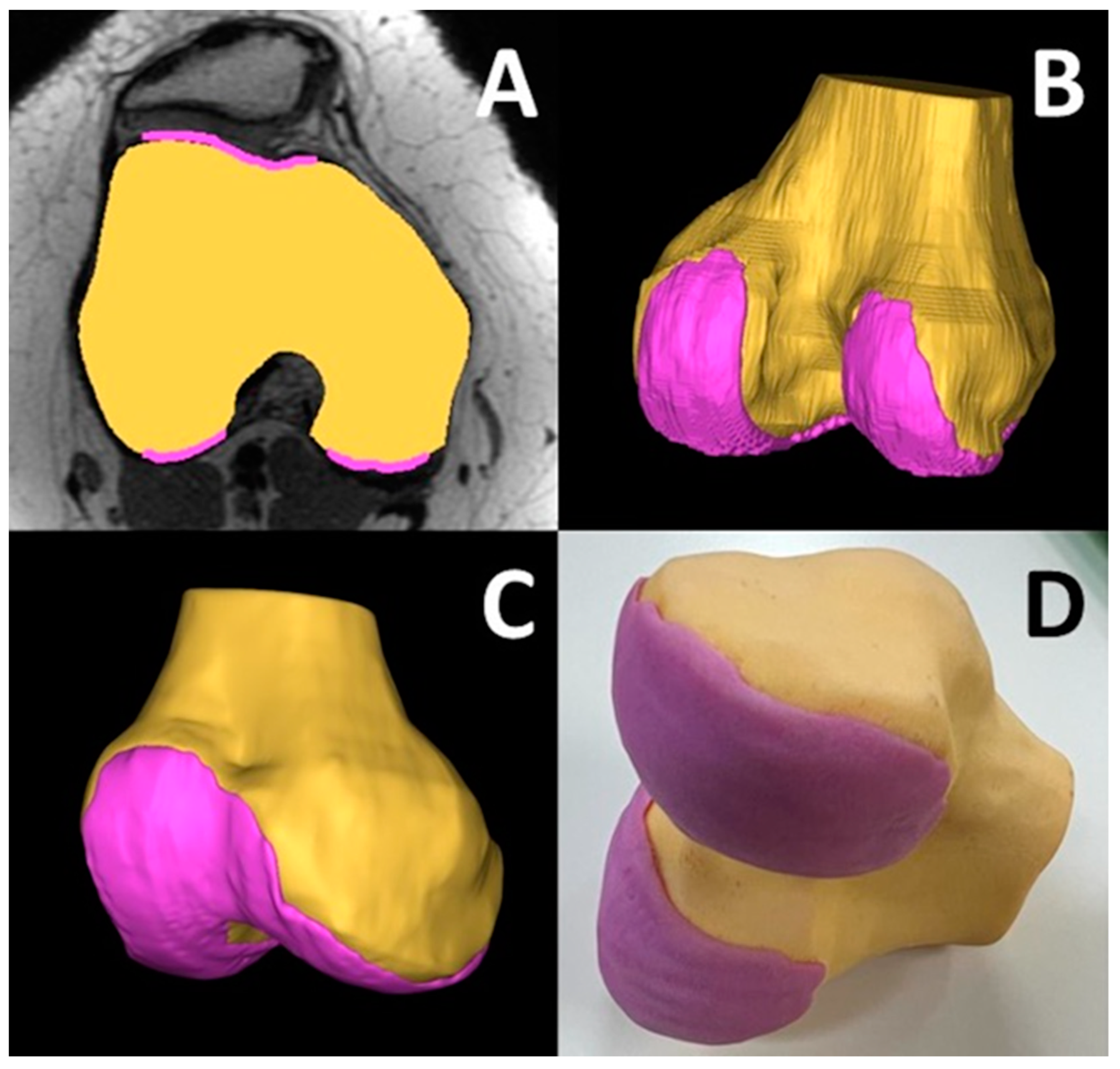 Bioengineering 12 00249 g010