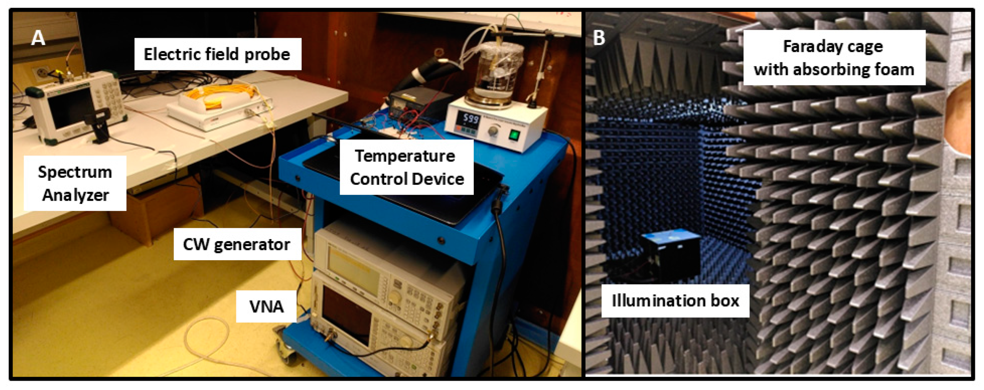 Bioengineering 12 00257 g001