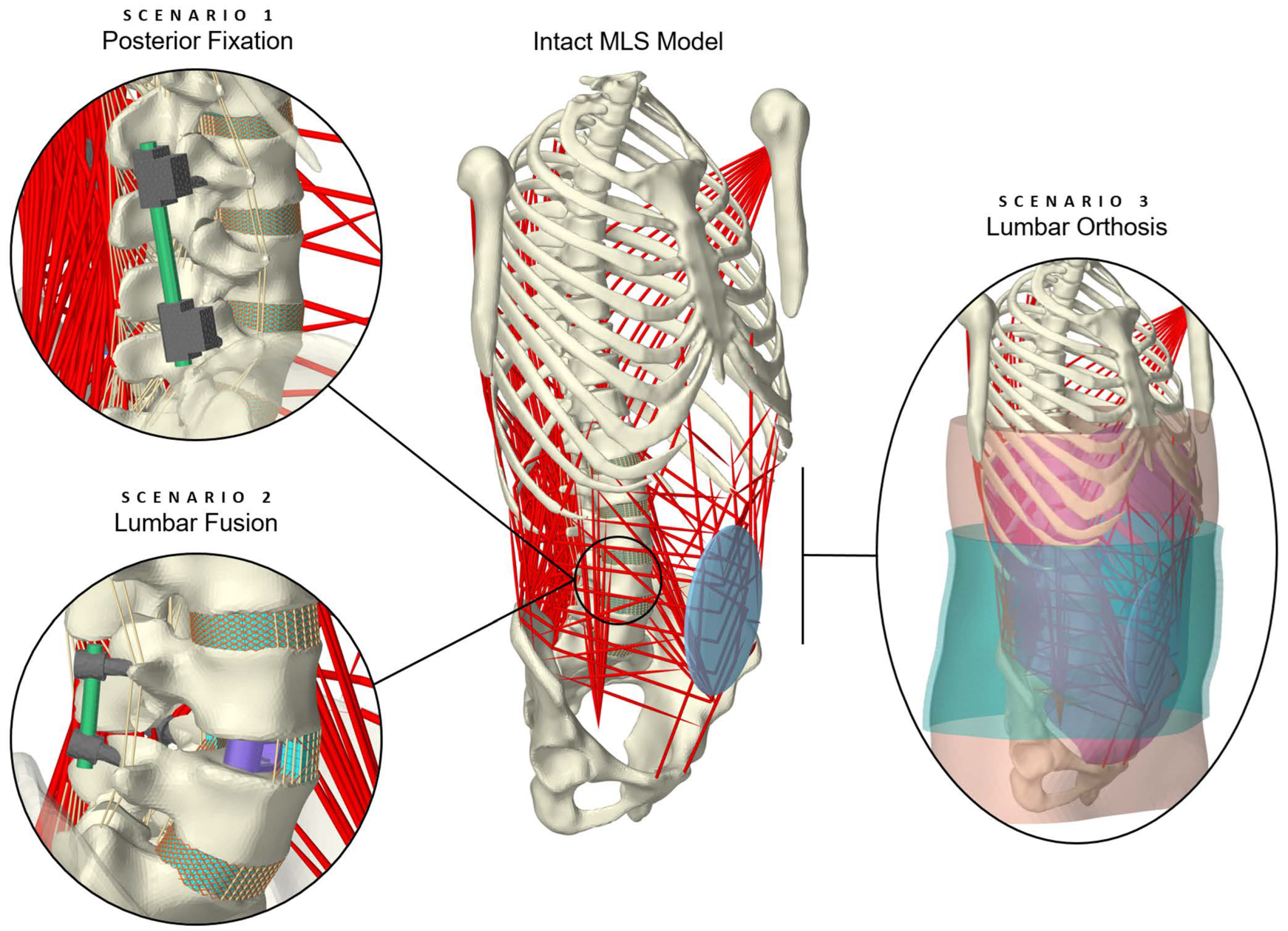 Bioengineering 12 00263 g001 Bioengineering 12 00263 g001