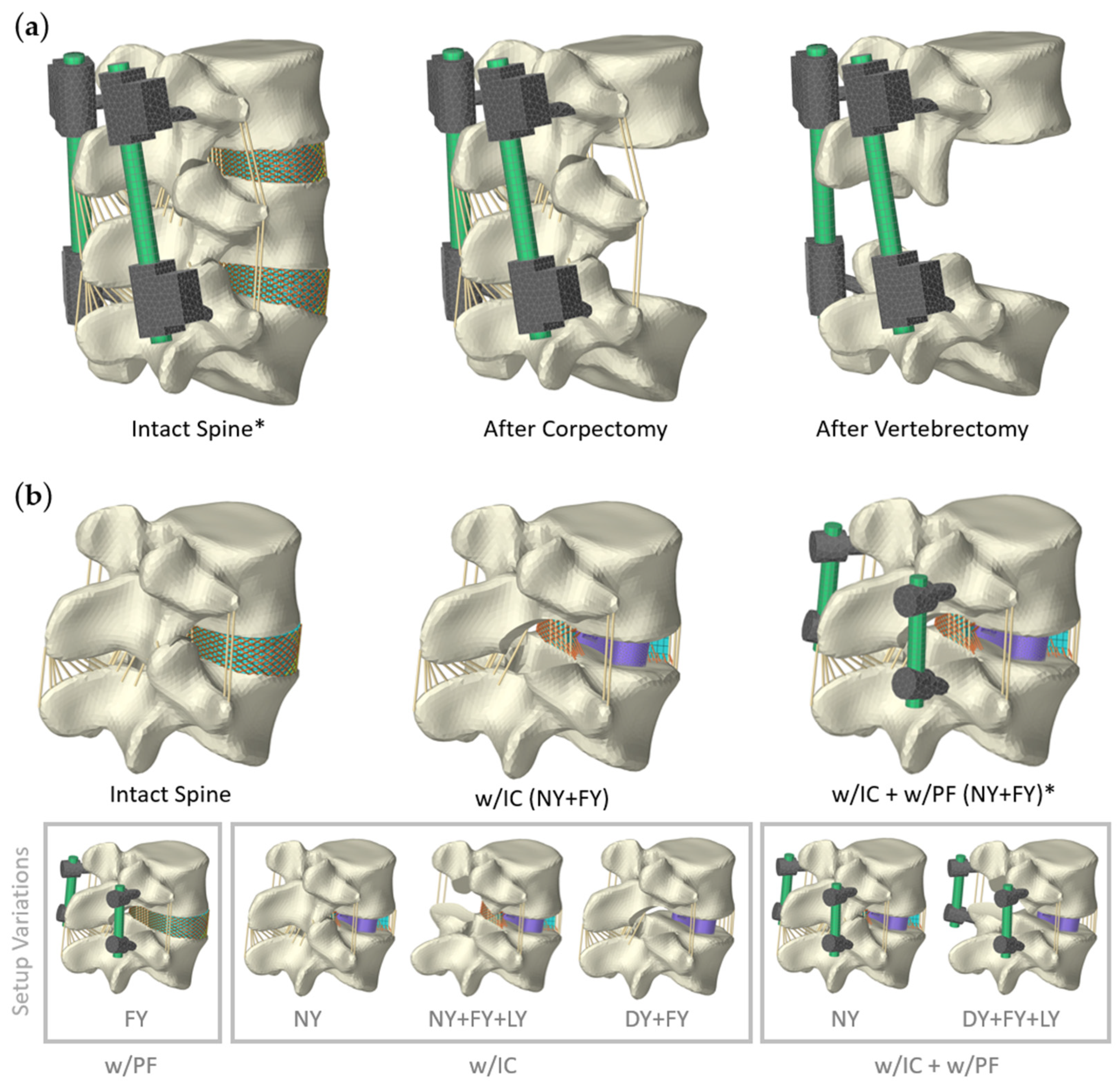 Bioengineering 12 00263 g002 Bioengineering 12 00263 g002
