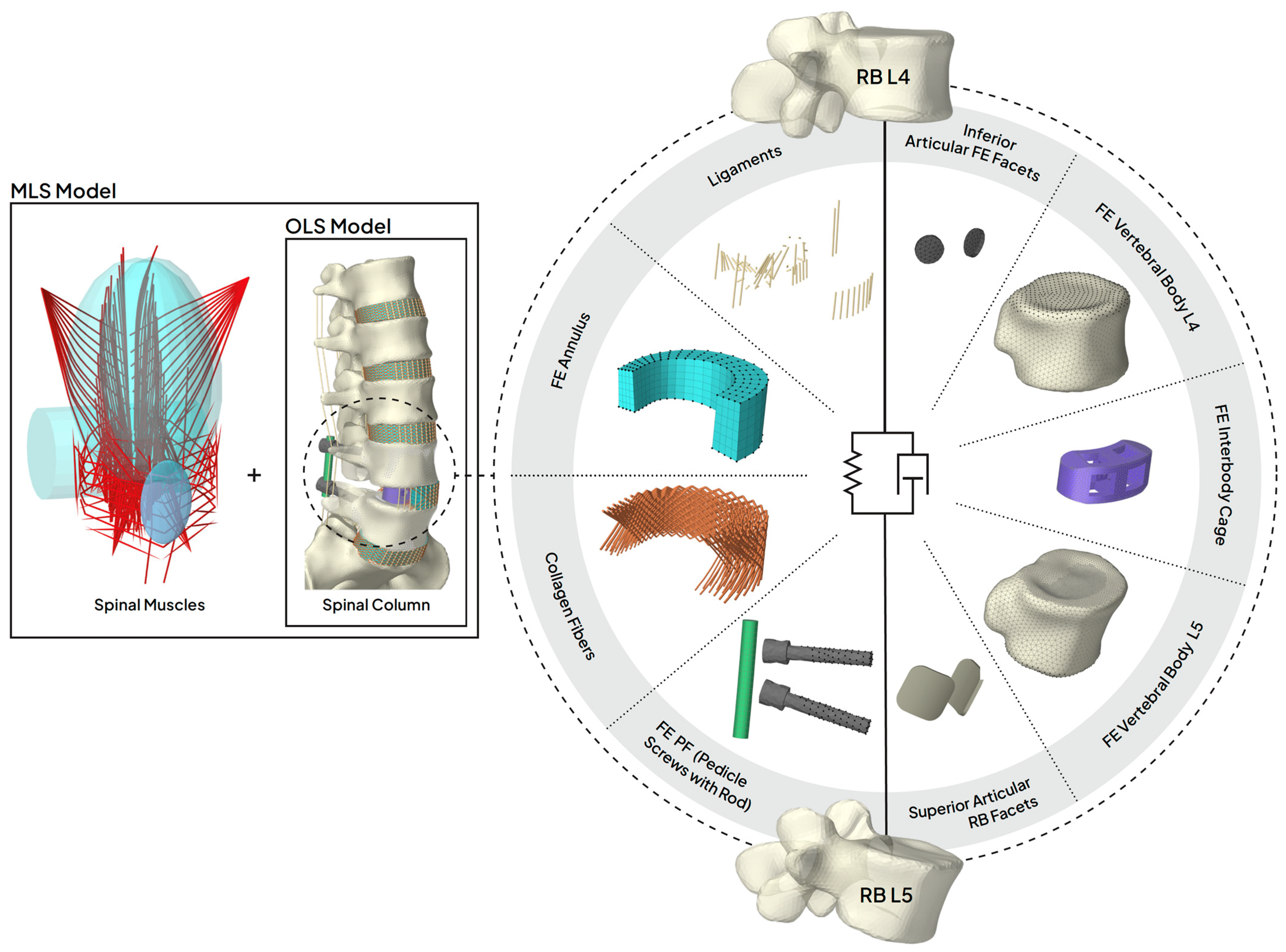 Bioengineering 12 00263 g003 Bioengineering 12 00263 g003
