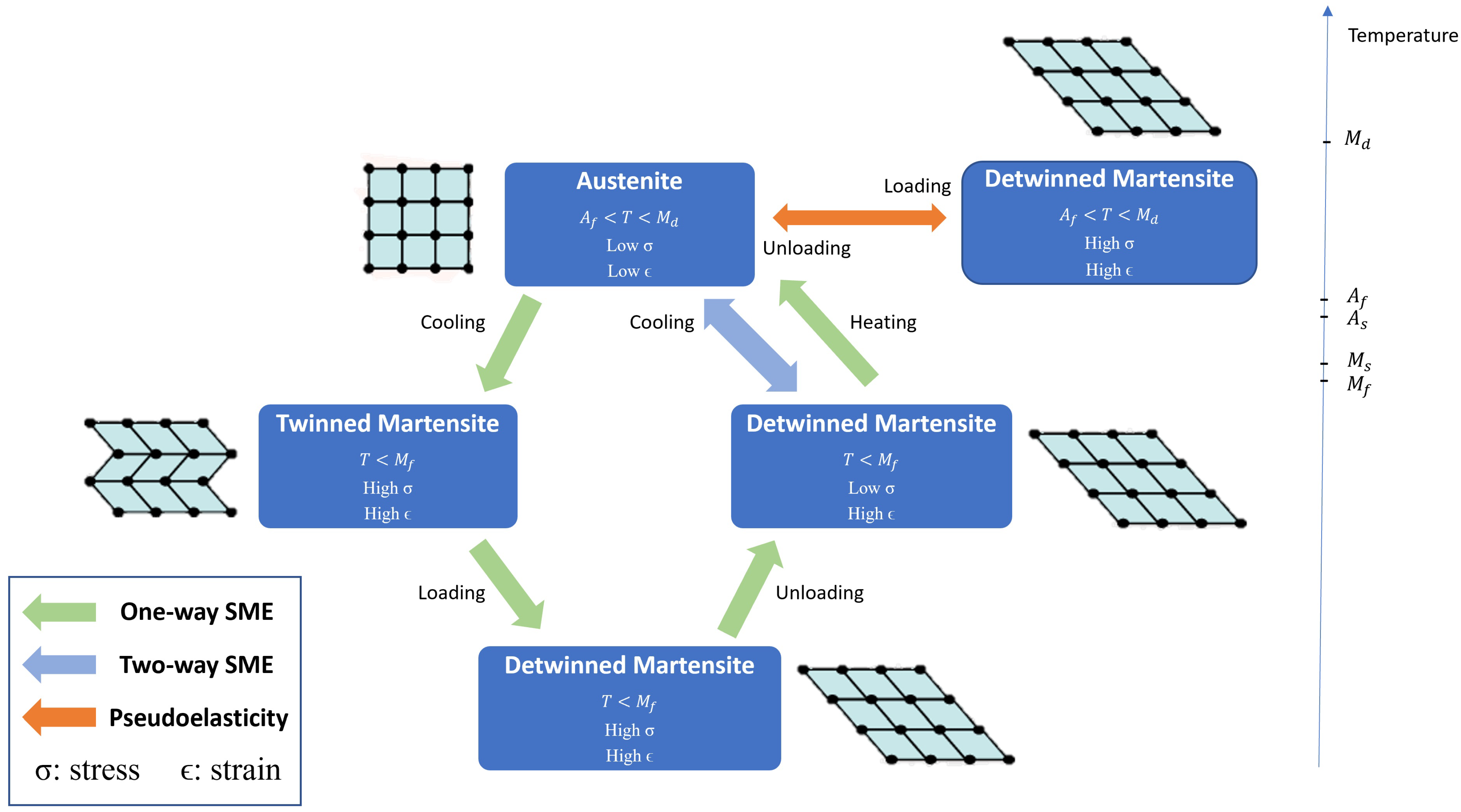 Bioengineering 12 00276 g002
