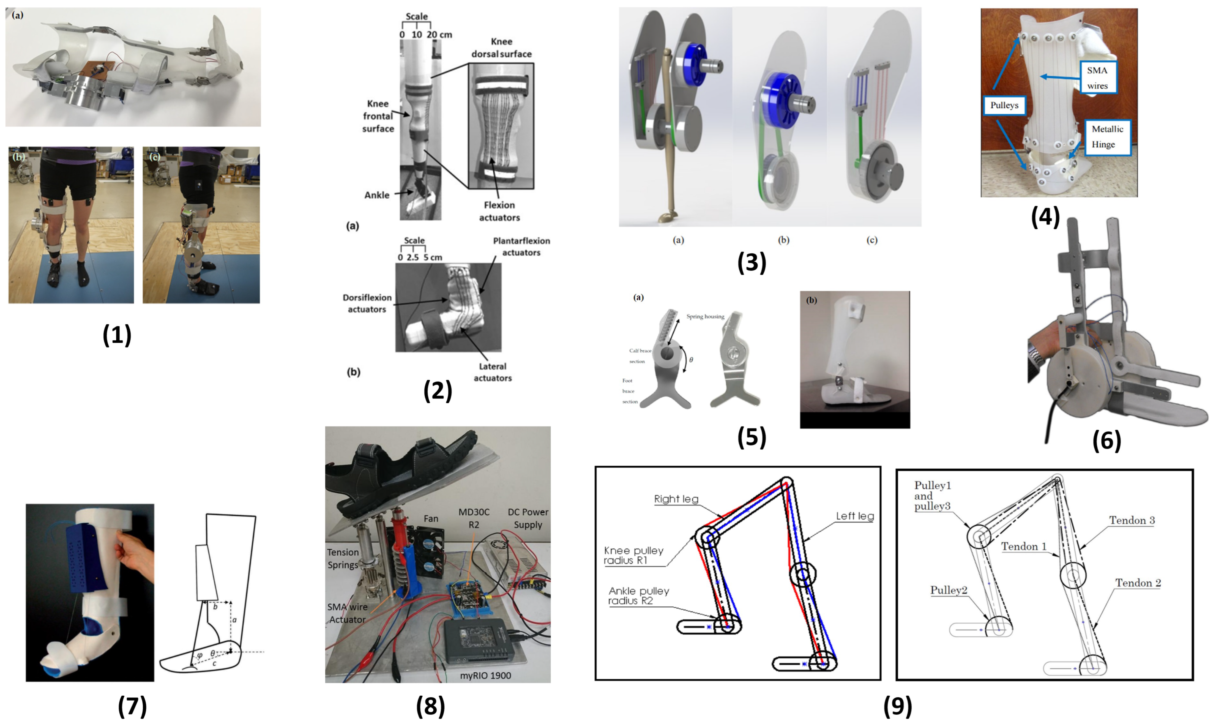 Bioengineering 12 00276 g005