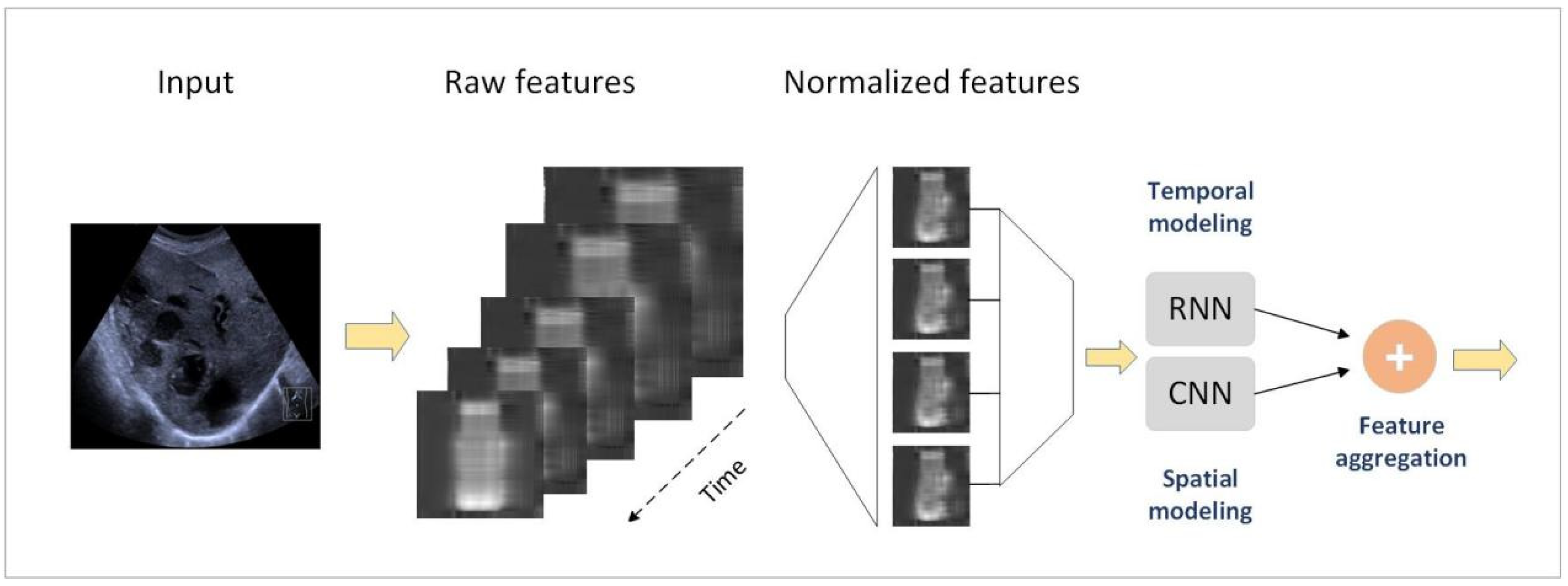 Bioengineering 12 00288 g003