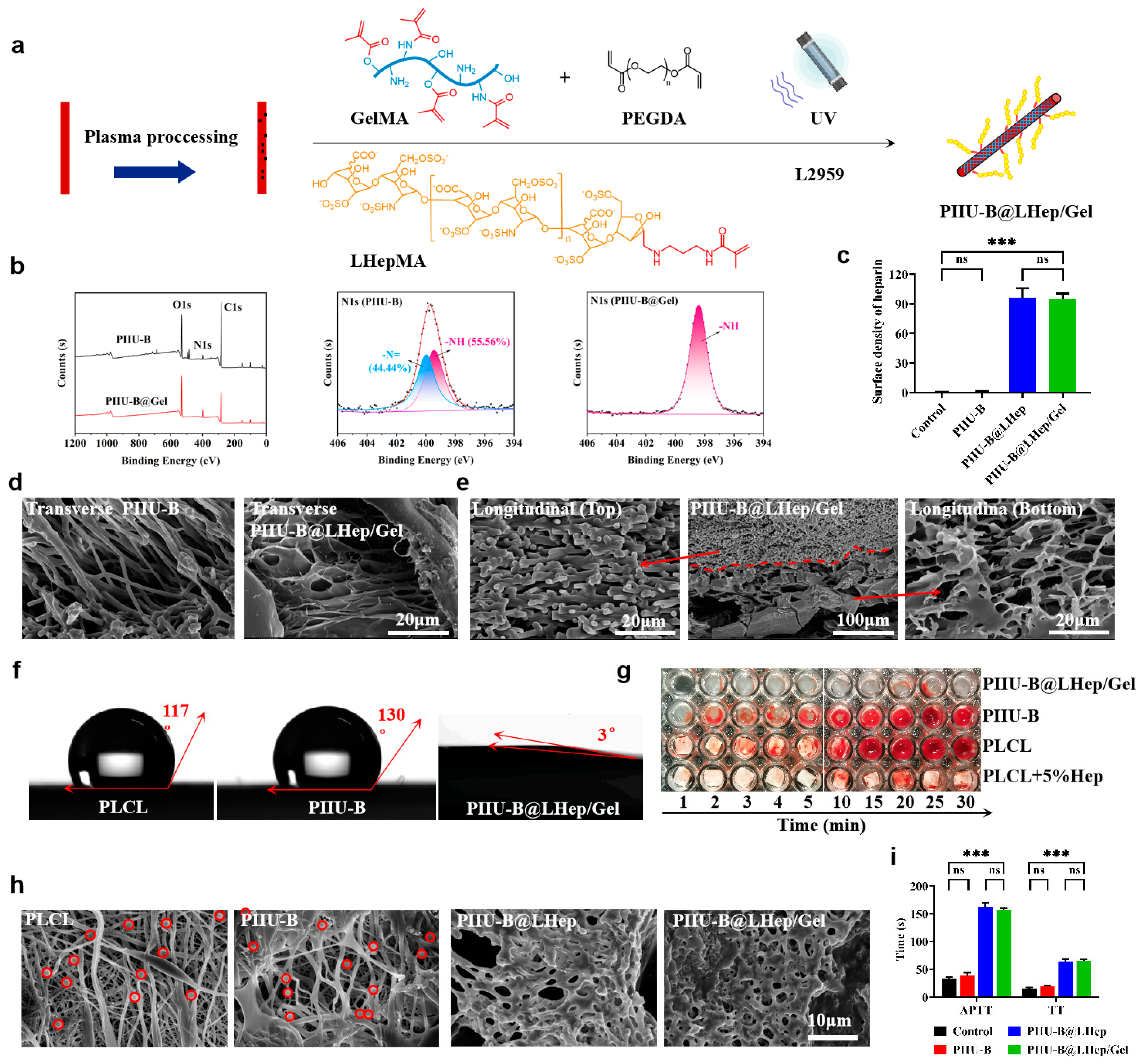 Bioengineering 12 00304 g005