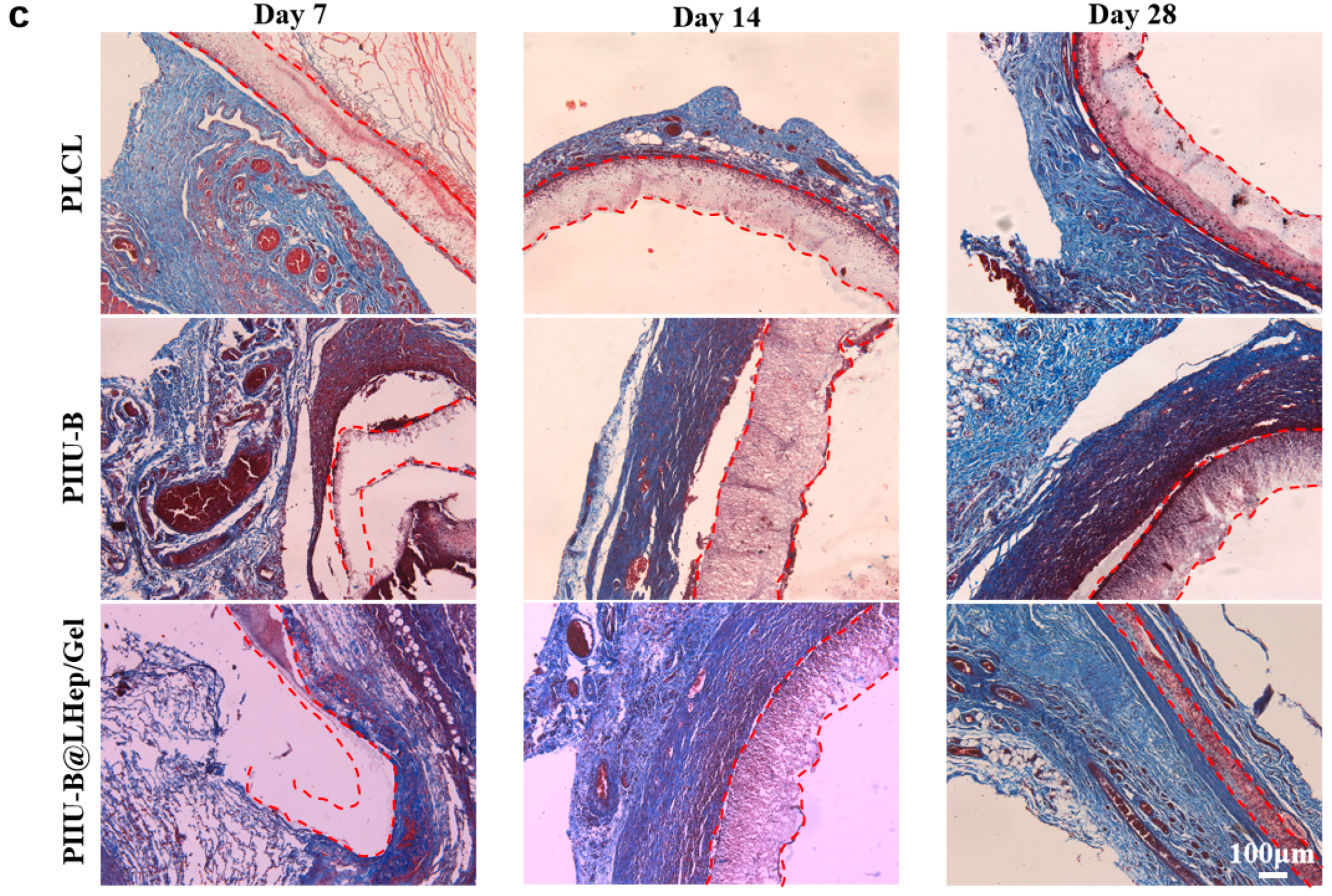 Bioengineering 12 00304 g008b