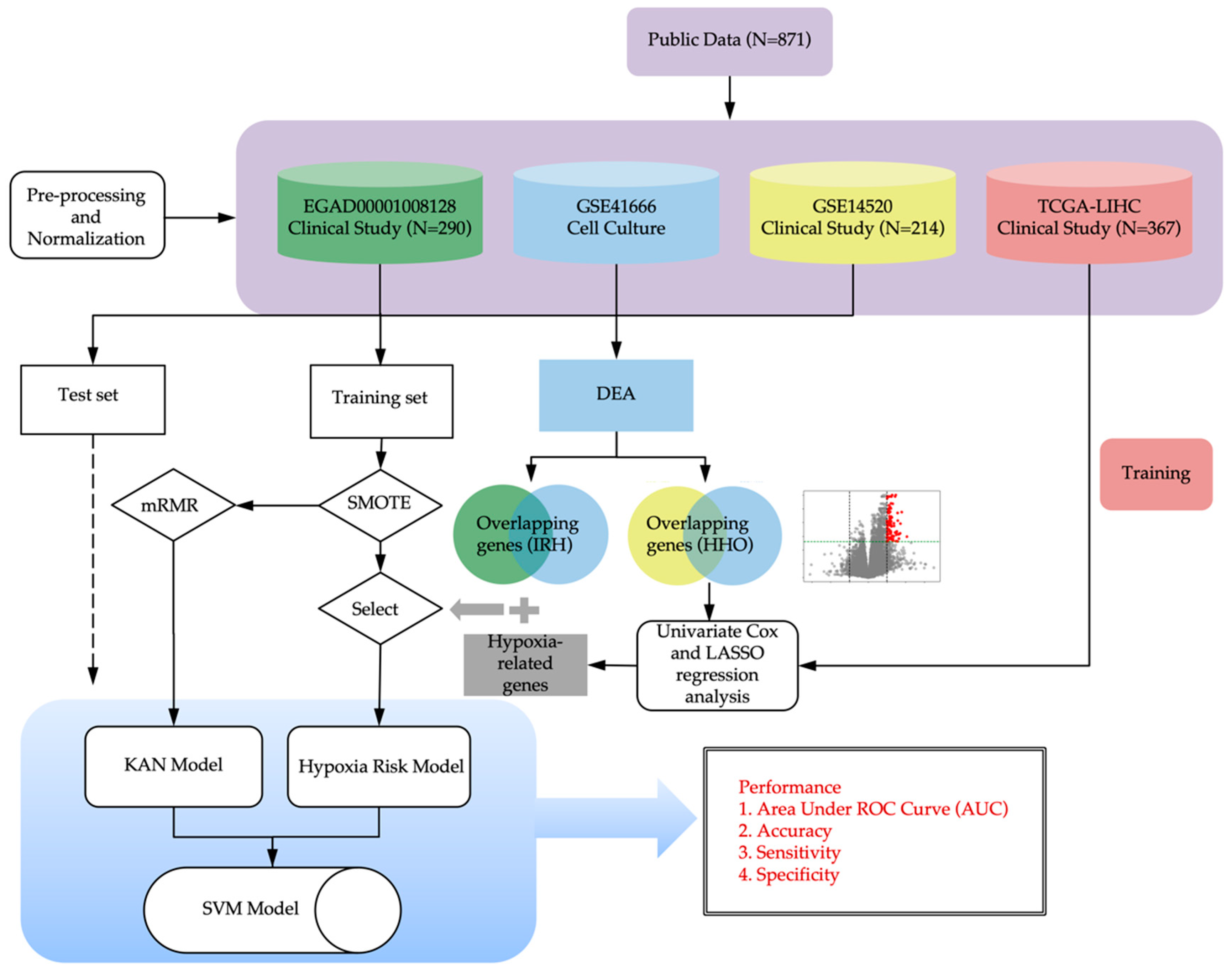 Bioengineering 12 00322 g001