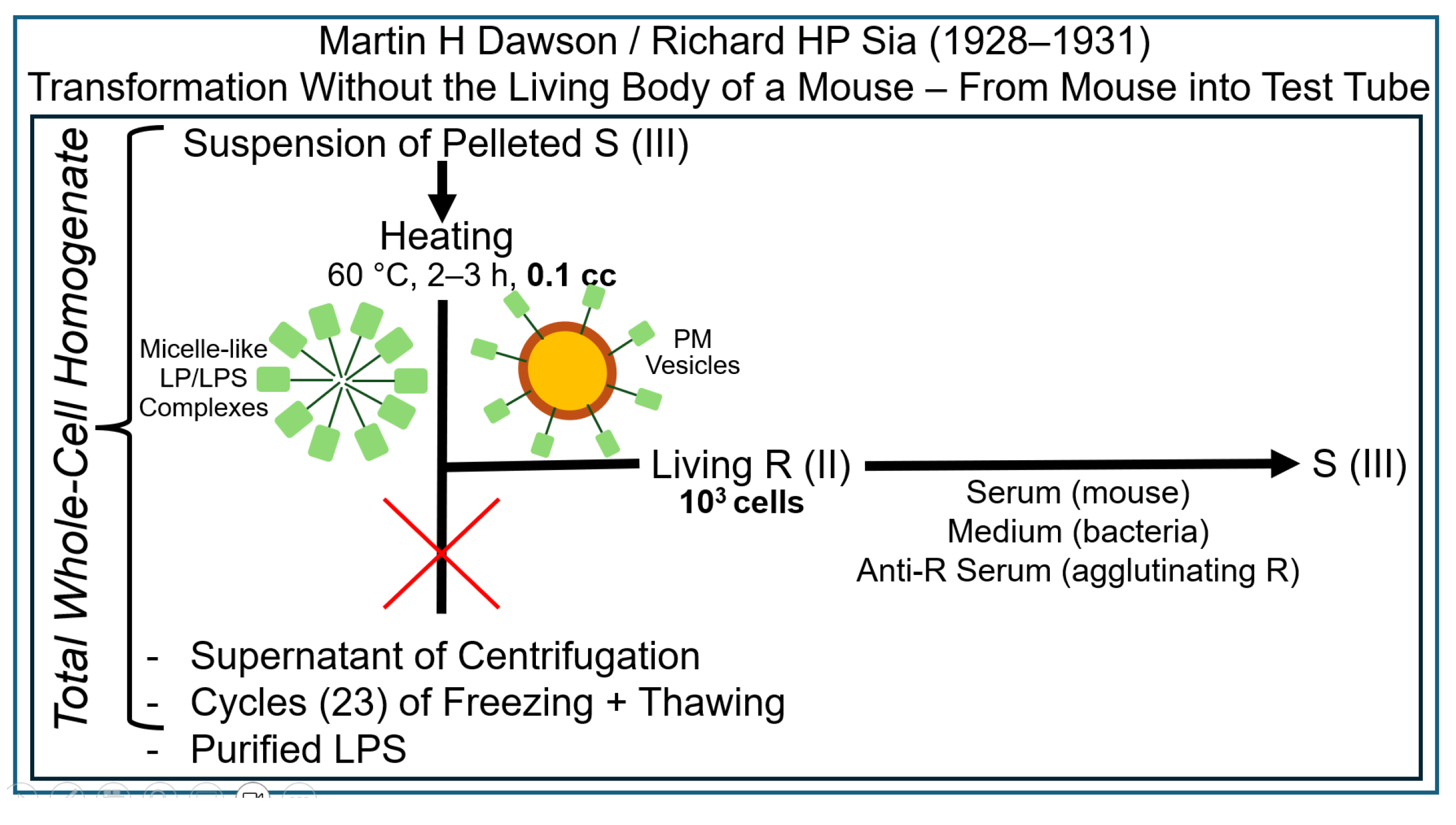Bioengineering 12 00324 g005
