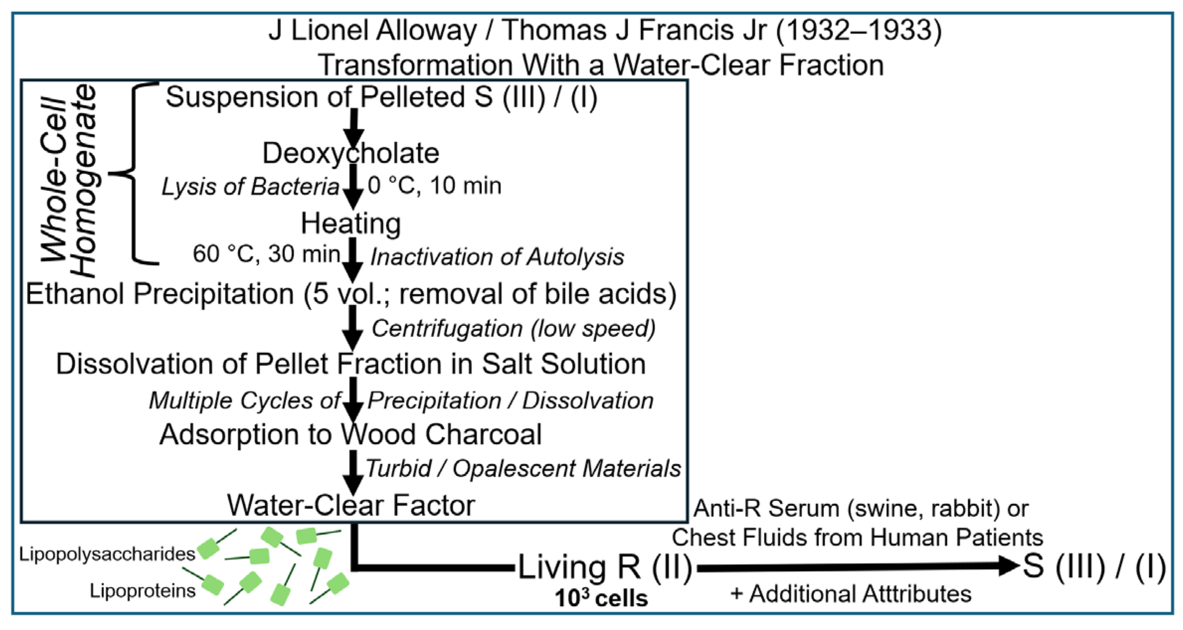 Bioengineering 12 00324 g007