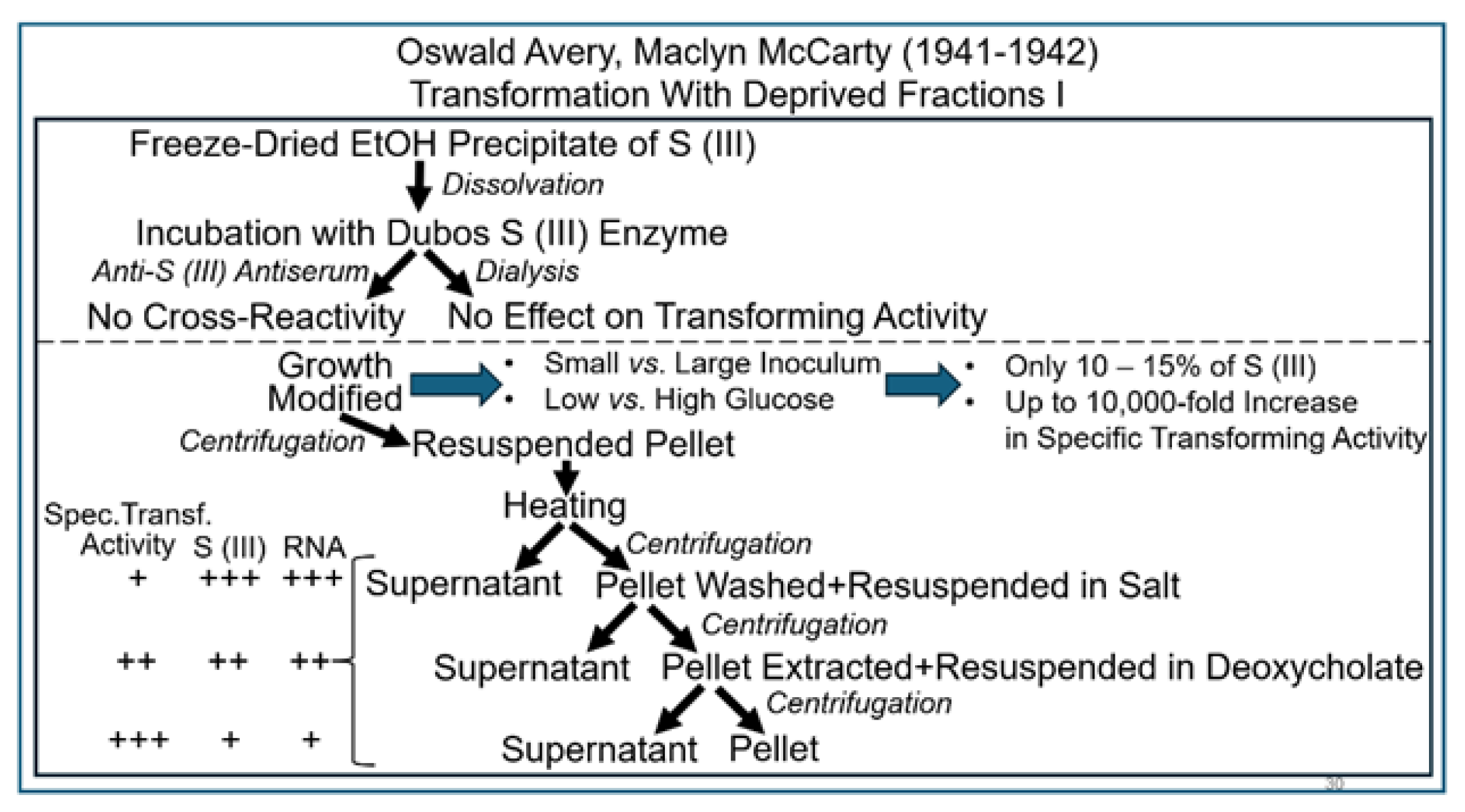 Bioengineering 12 00324 g009