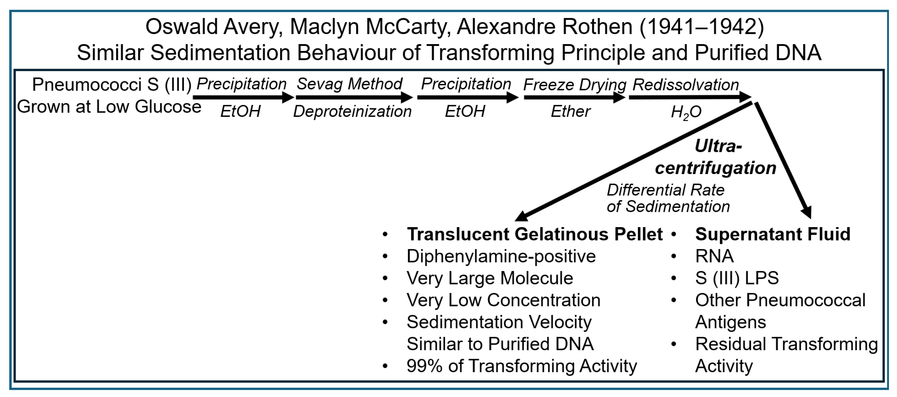 Bioengineering 12 00324 g012