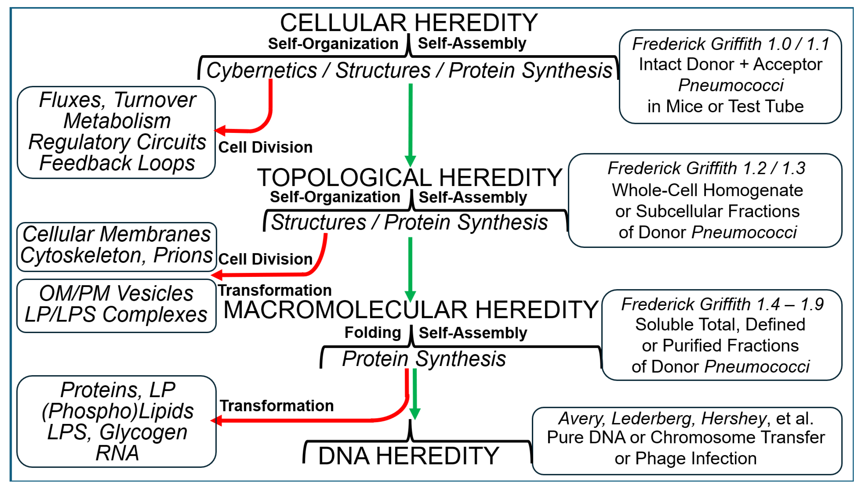Bioengineering 12 00324 g016