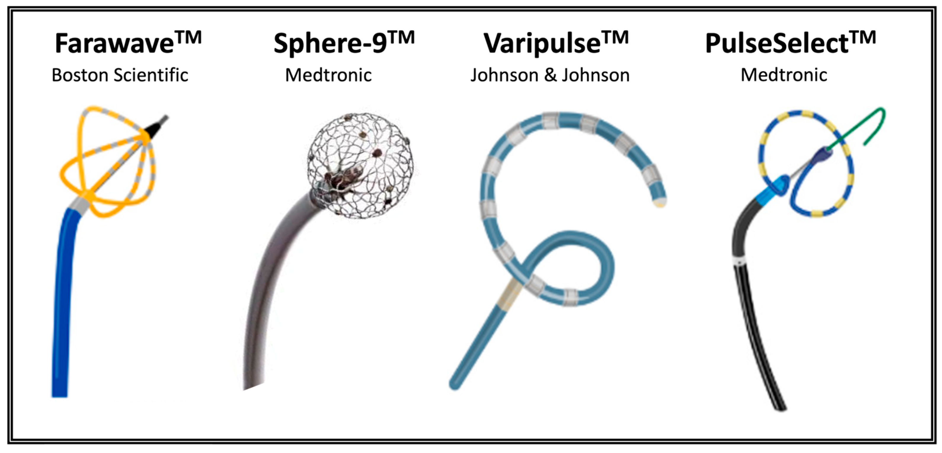 Bioengineering 12 00329 g004