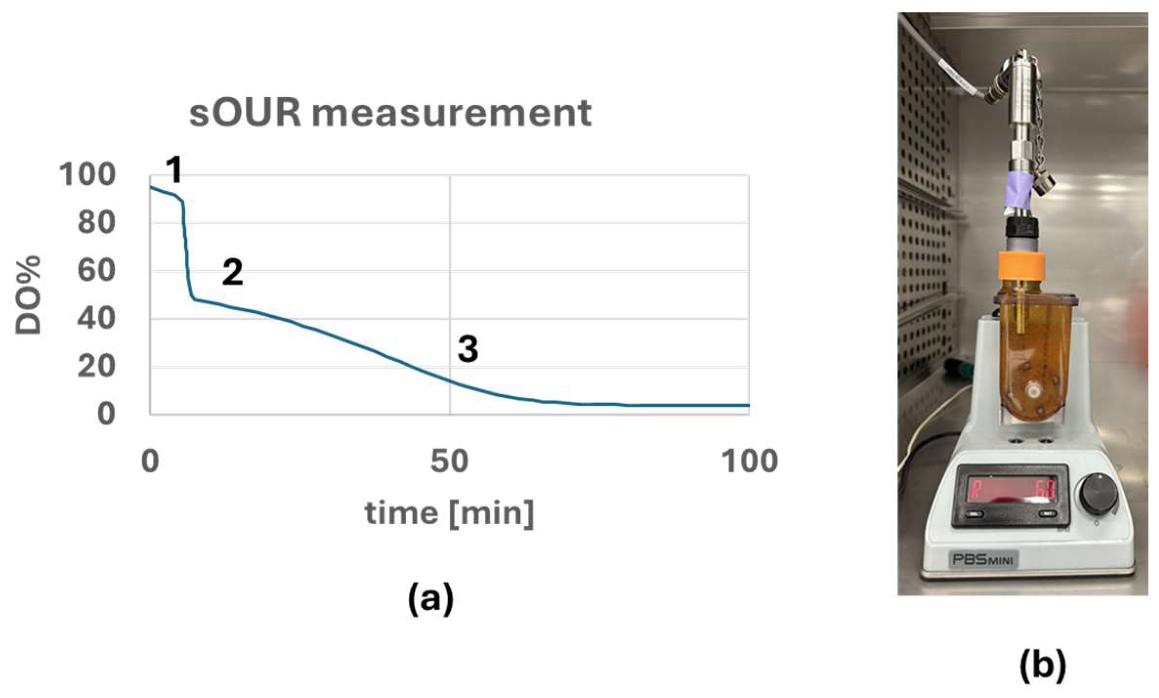 Bioengineering 12 00332 g002