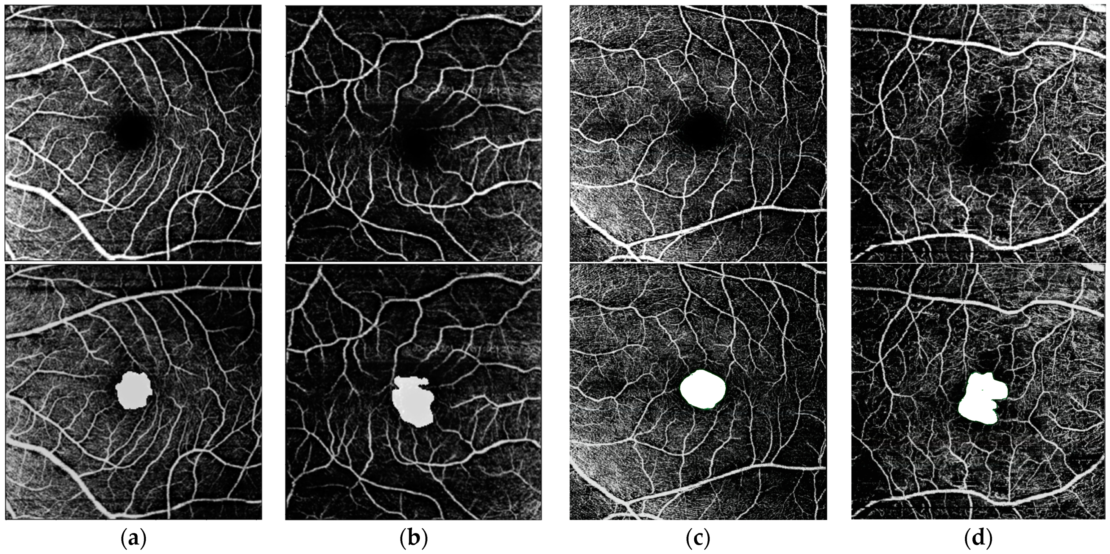Bioengineering 12 00334 g005