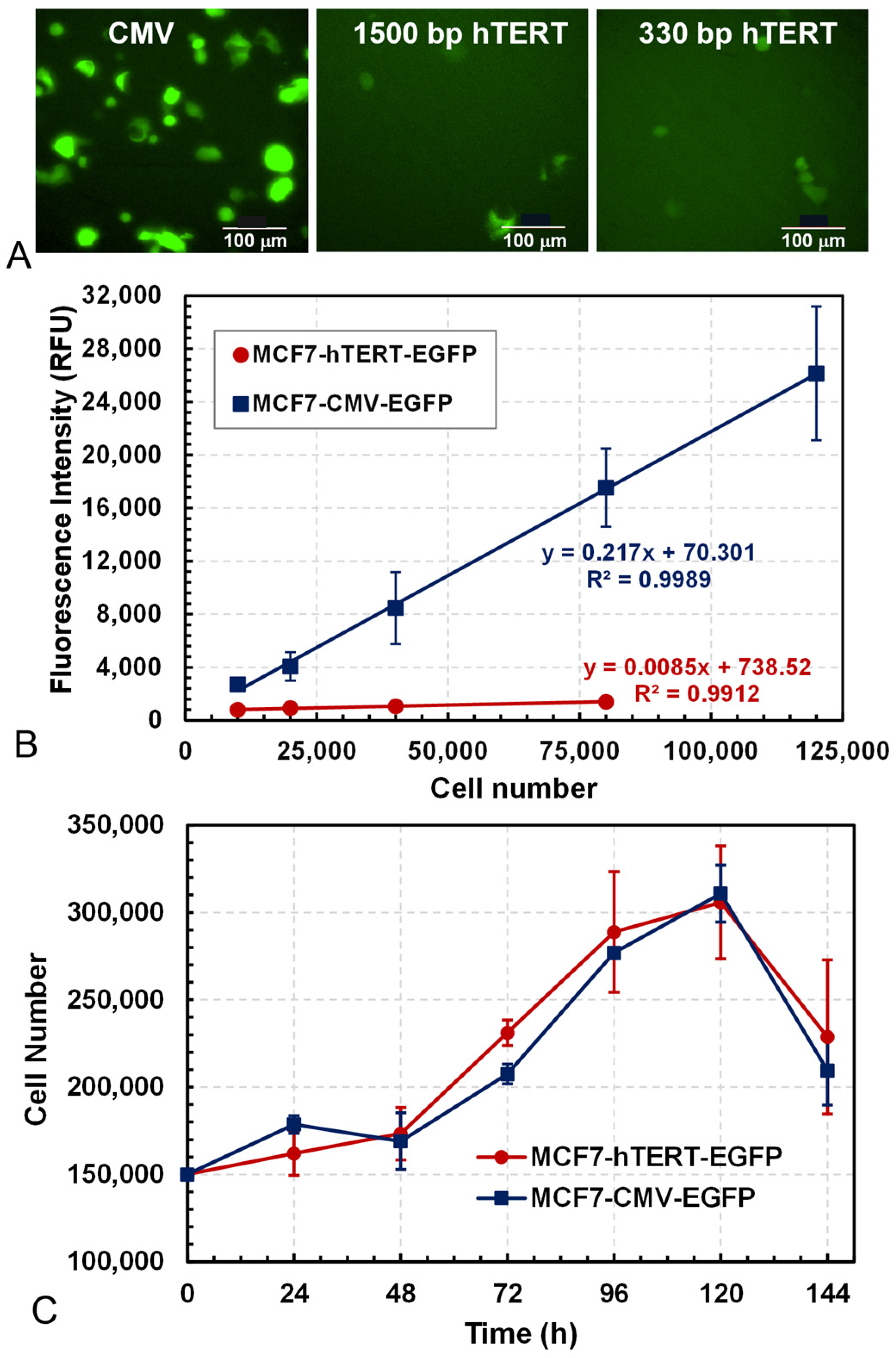Bioengineering 12 00335 g001 Bioengineering 12 00335 g001