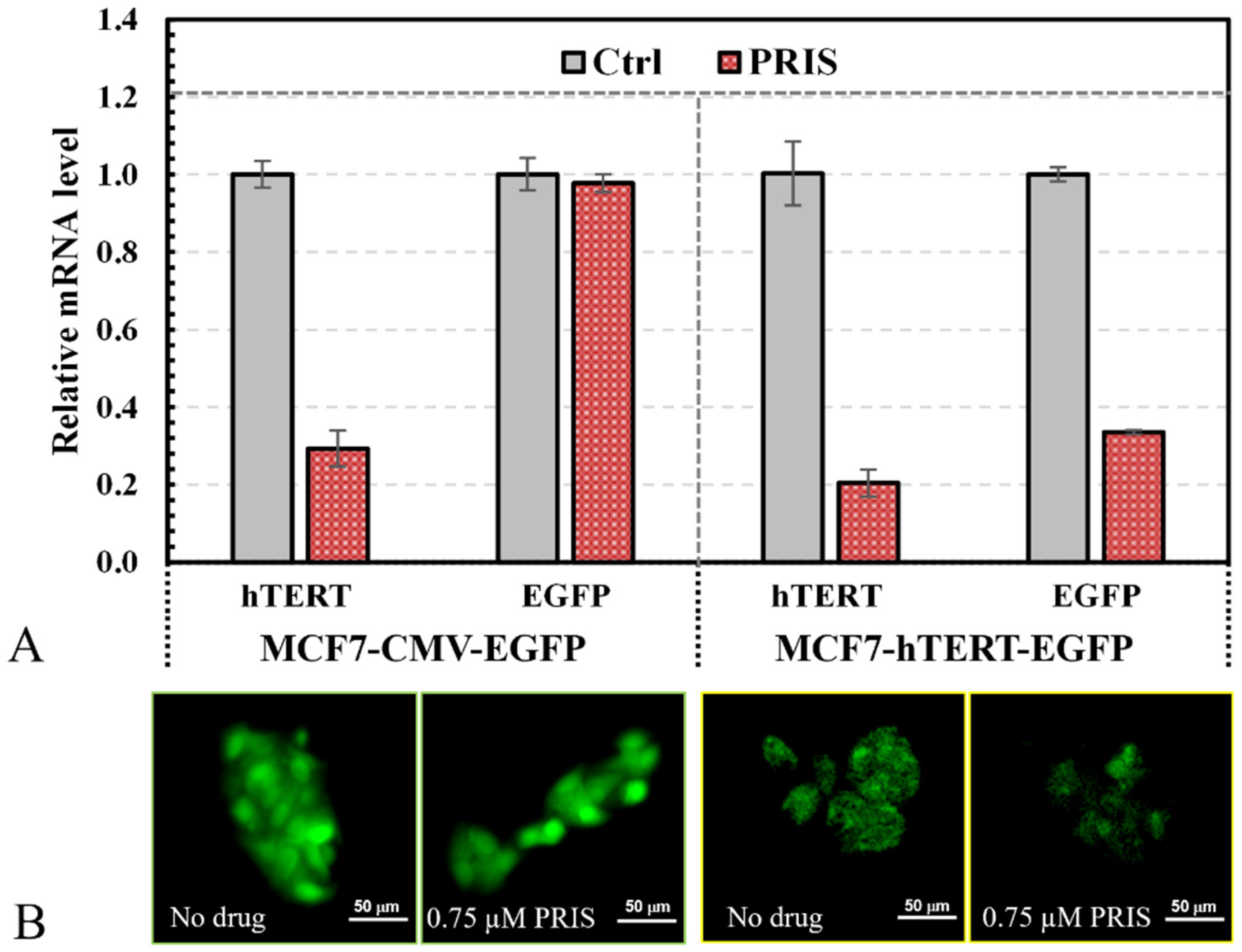 Bioengineering 12 00335 g003 Bioengineering 12 00335 g003