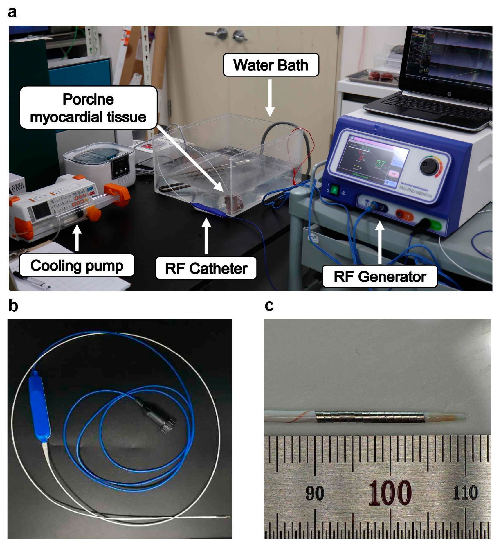 Bioengineering 12 00360 g001
