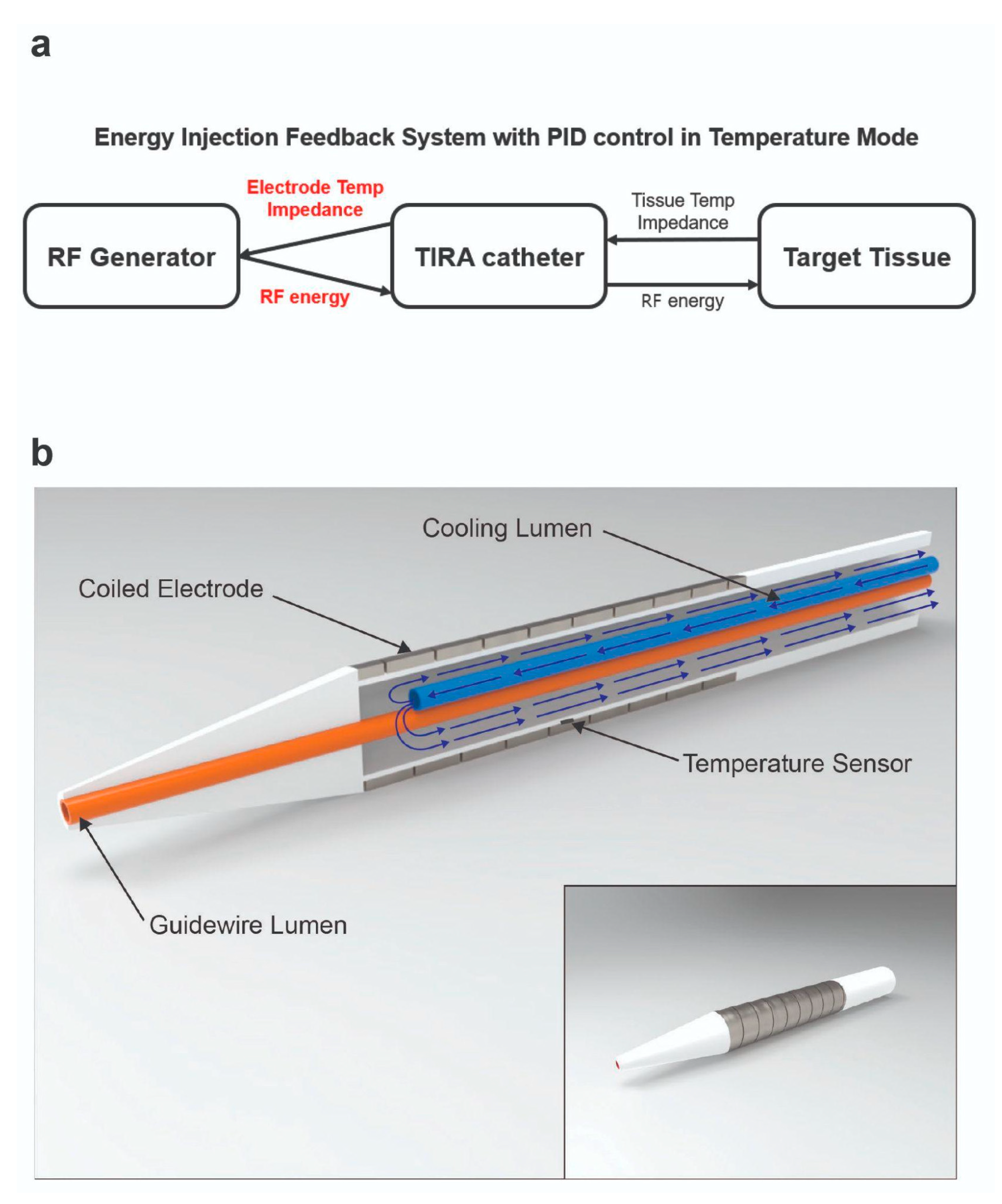Bioengineering 12 00360 g002