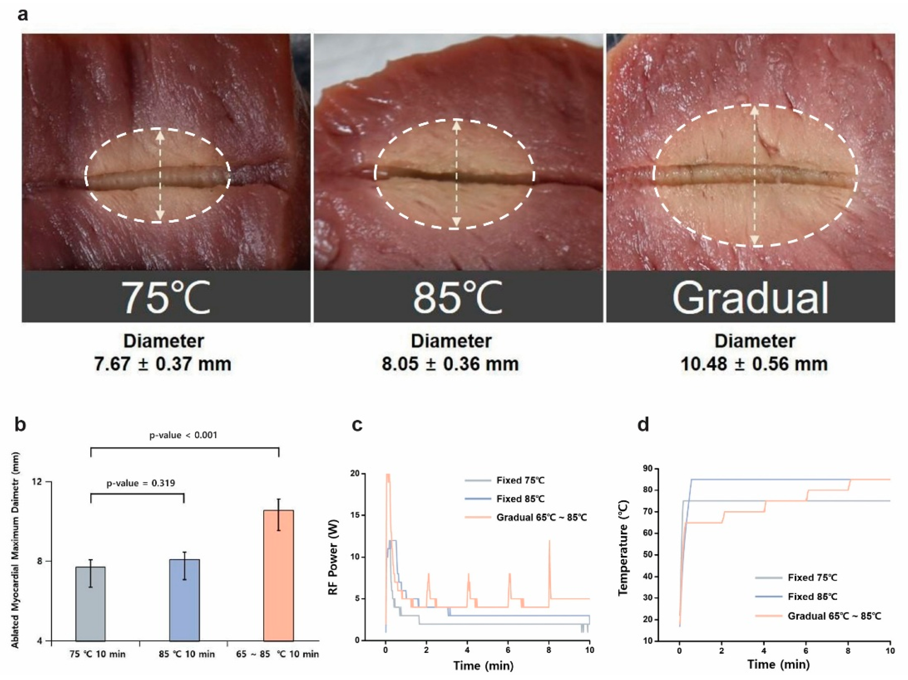 Bioengineering 12 00360 g003