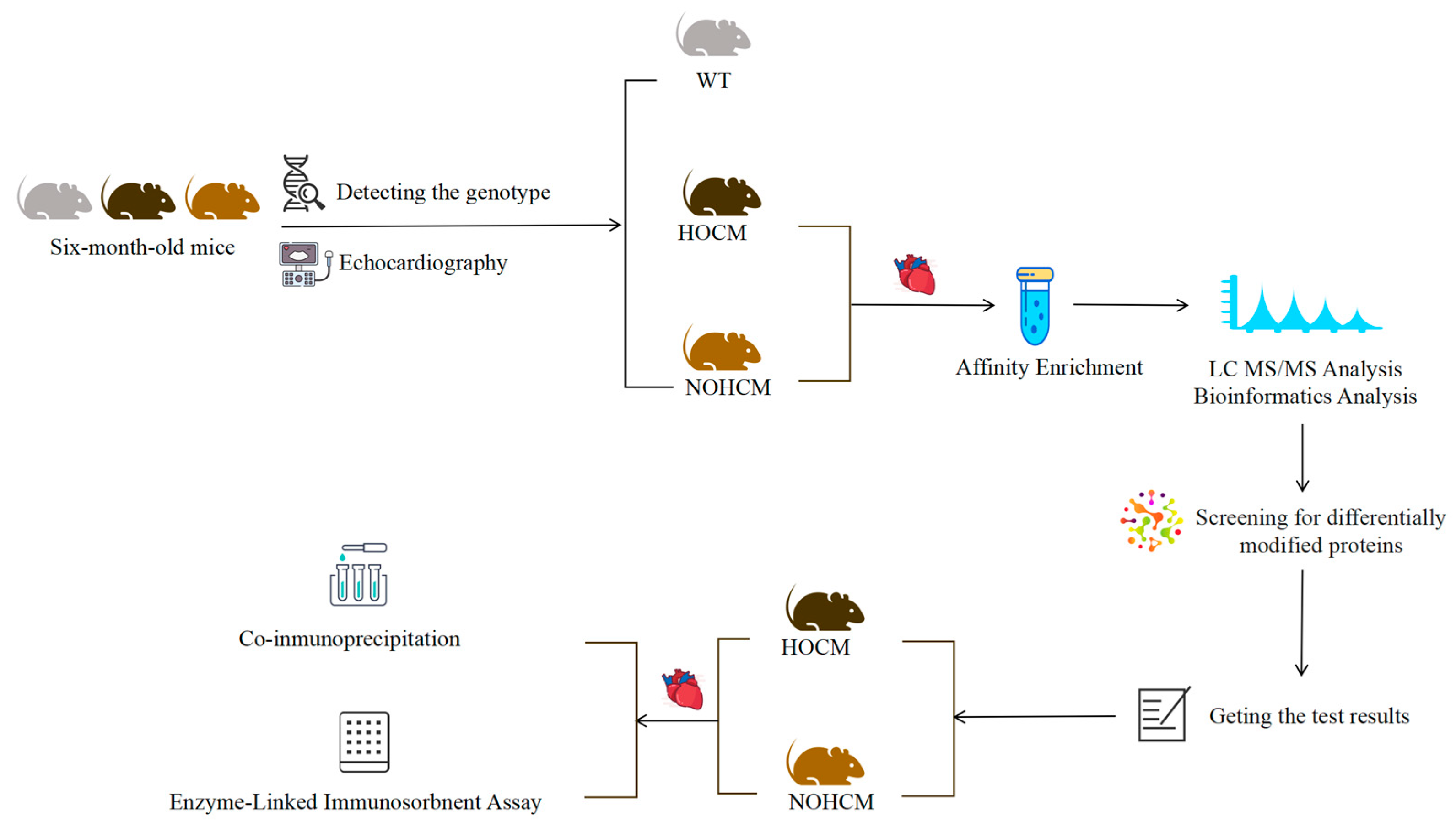 Bioengineering 12 00379 g001