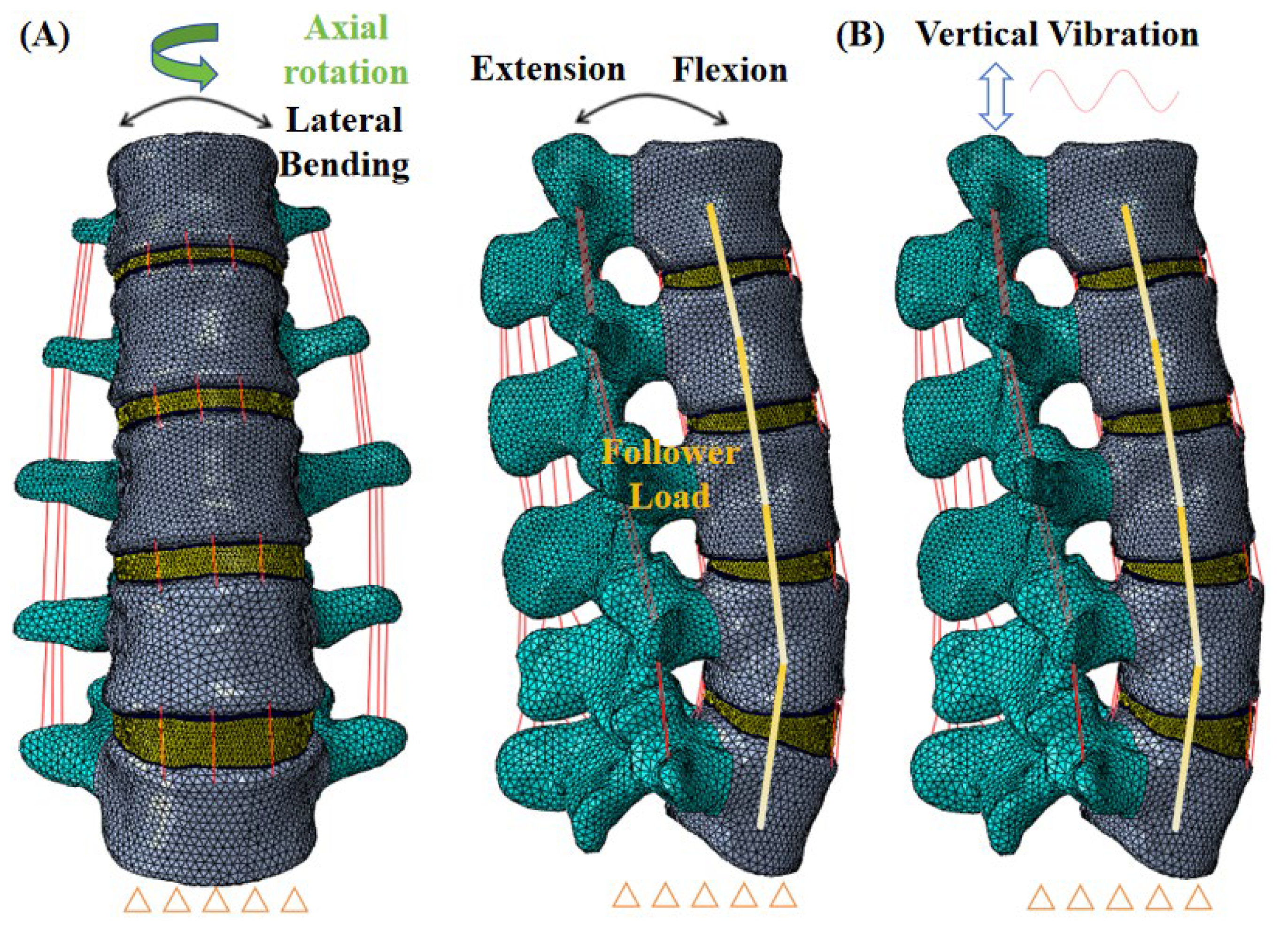 Bioengineering 12 00384 g001