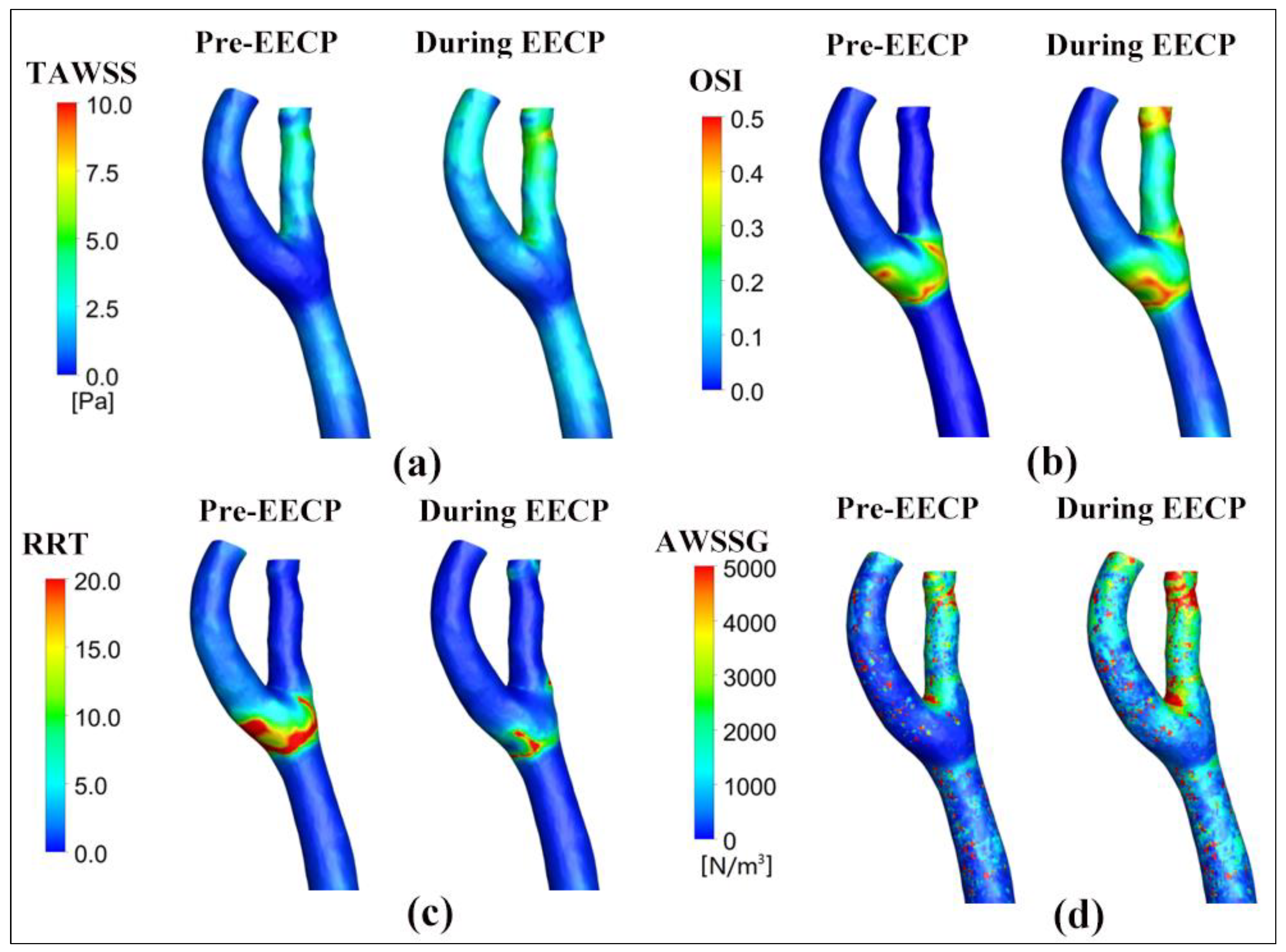 Bioengineering 12 00386 g005