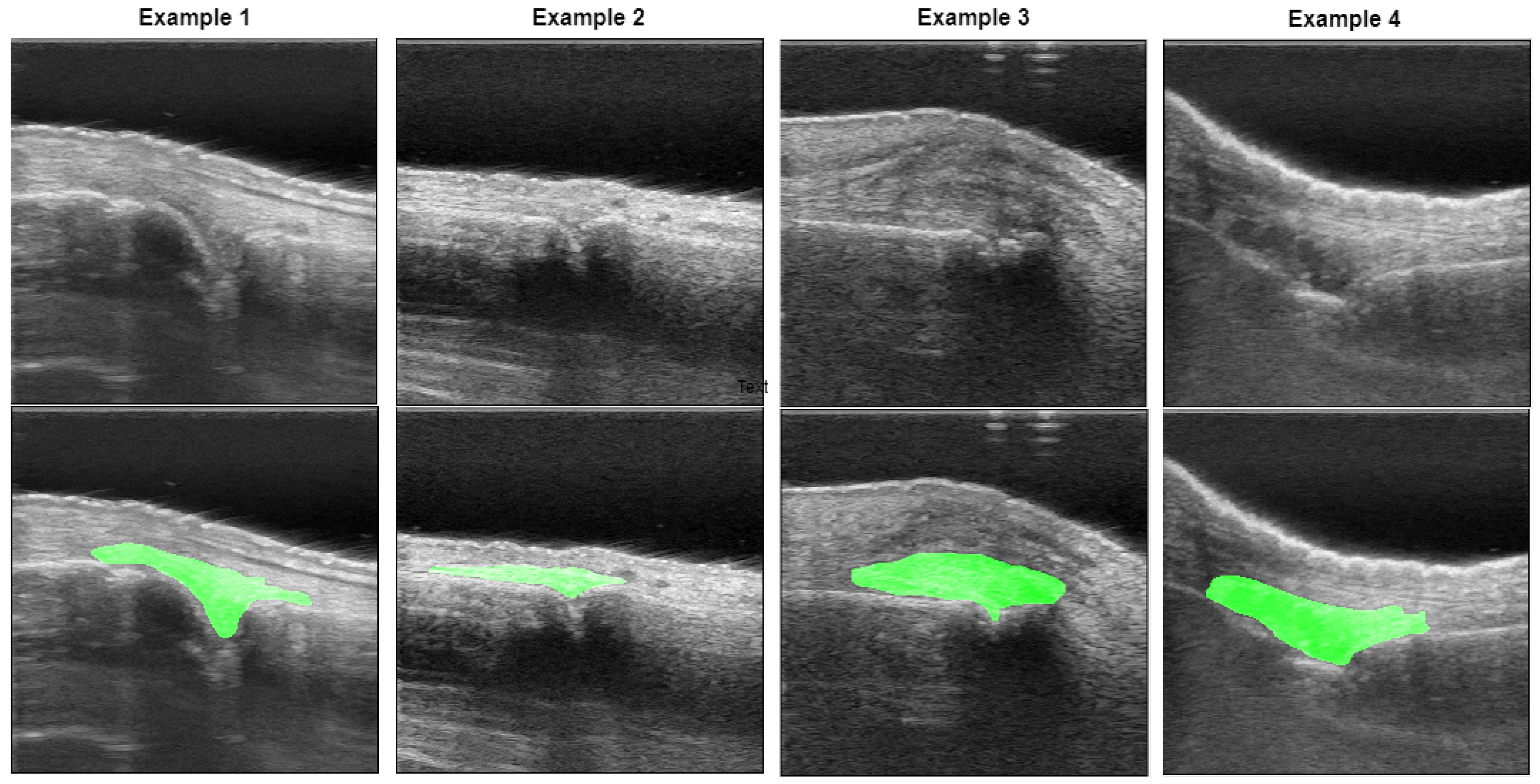 Bioengineering 12 00390 g001