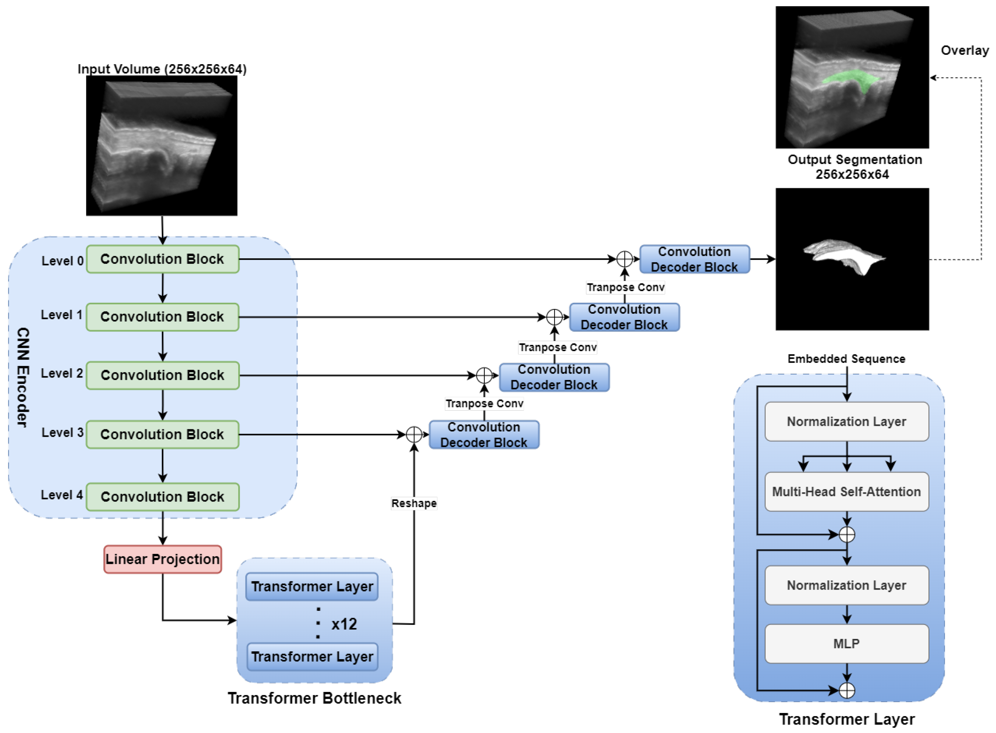 Bioengineering 12 00390 g007