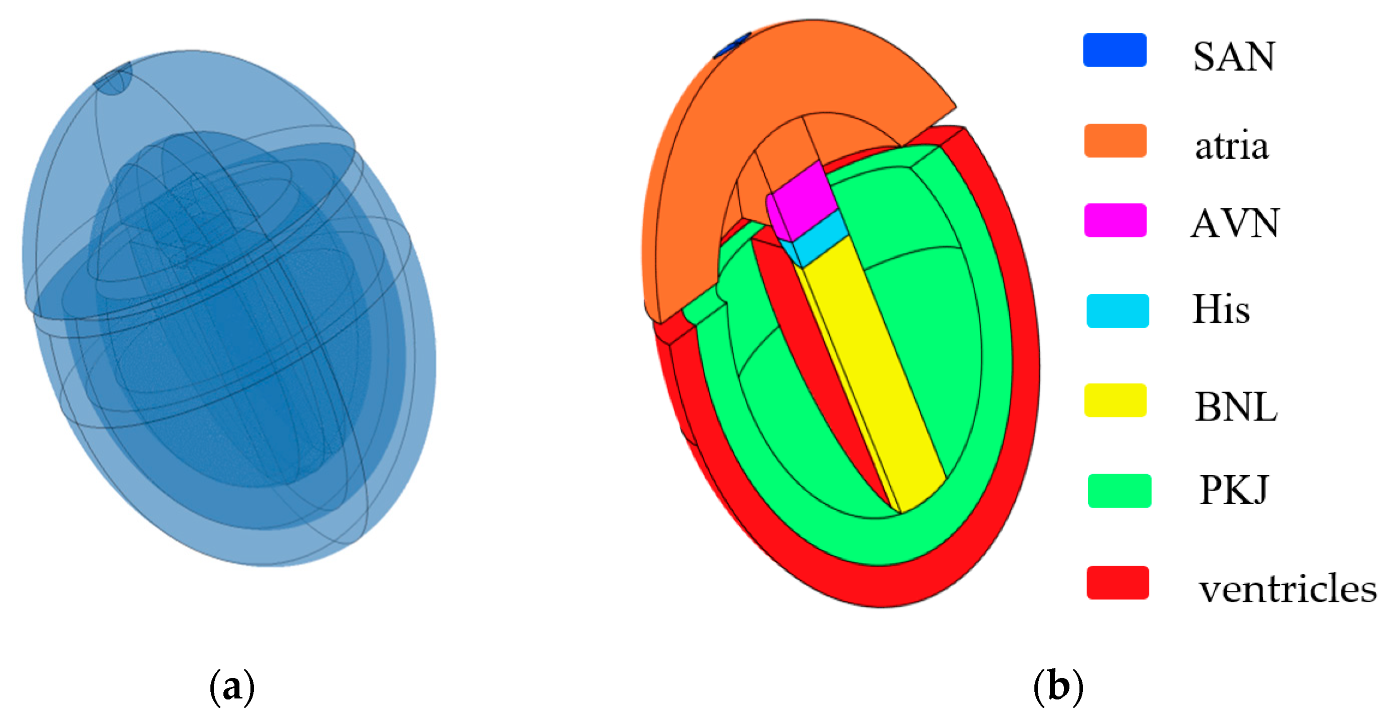 Bioengineering 12 00392 g001