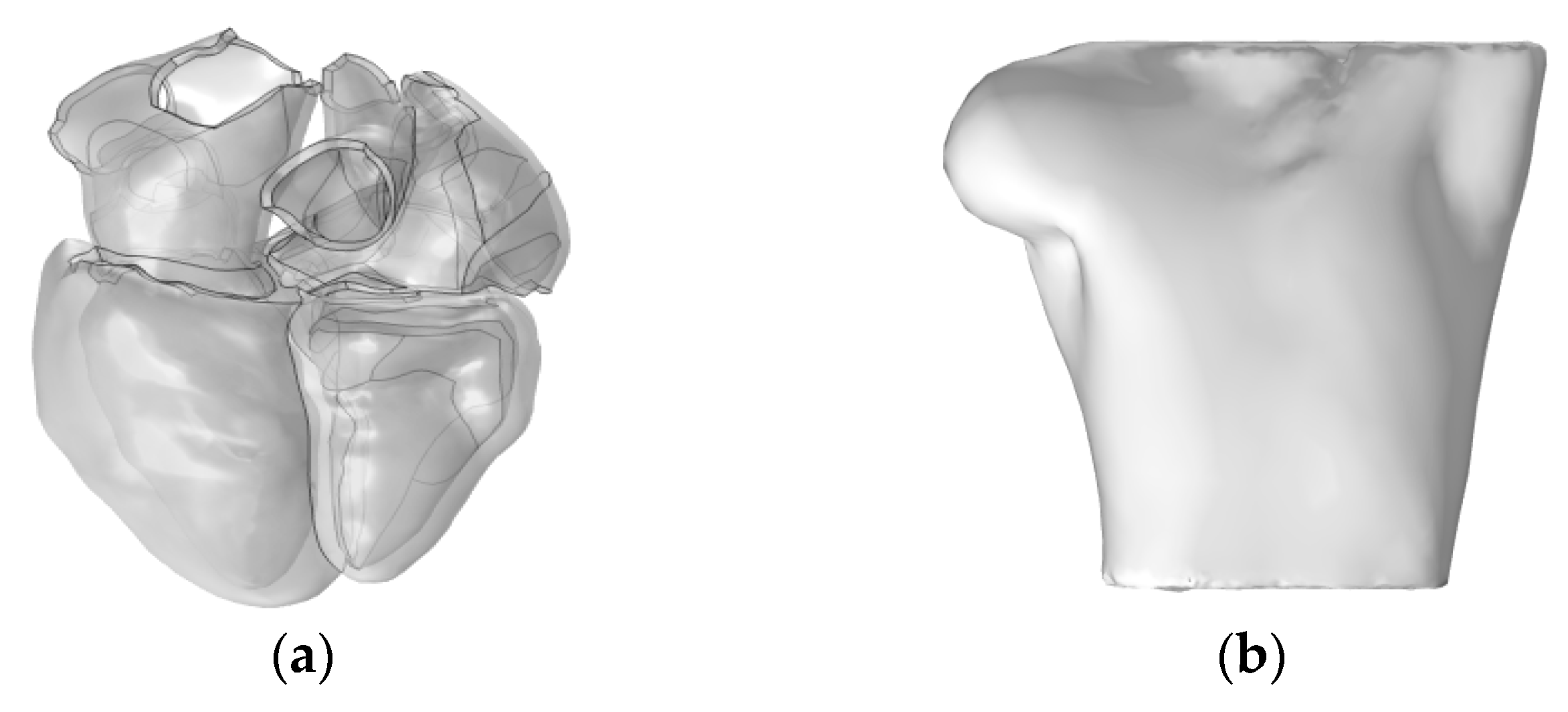 Bioengineering 12 00392 g002
