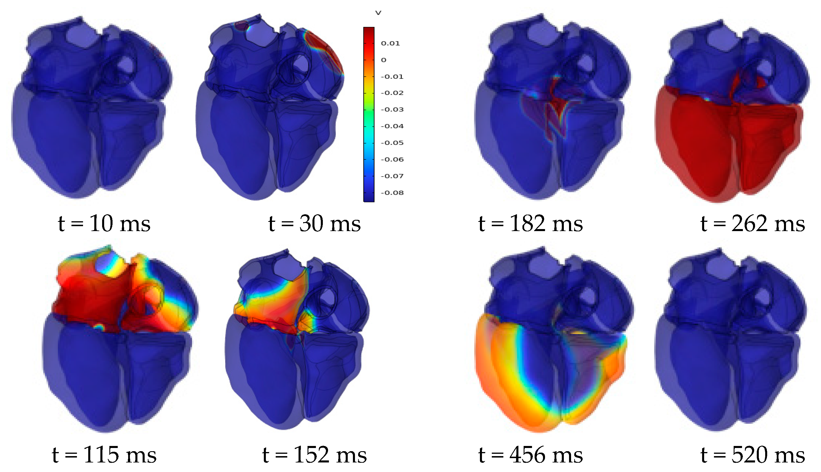 Bioengineering 12 00392 g011
