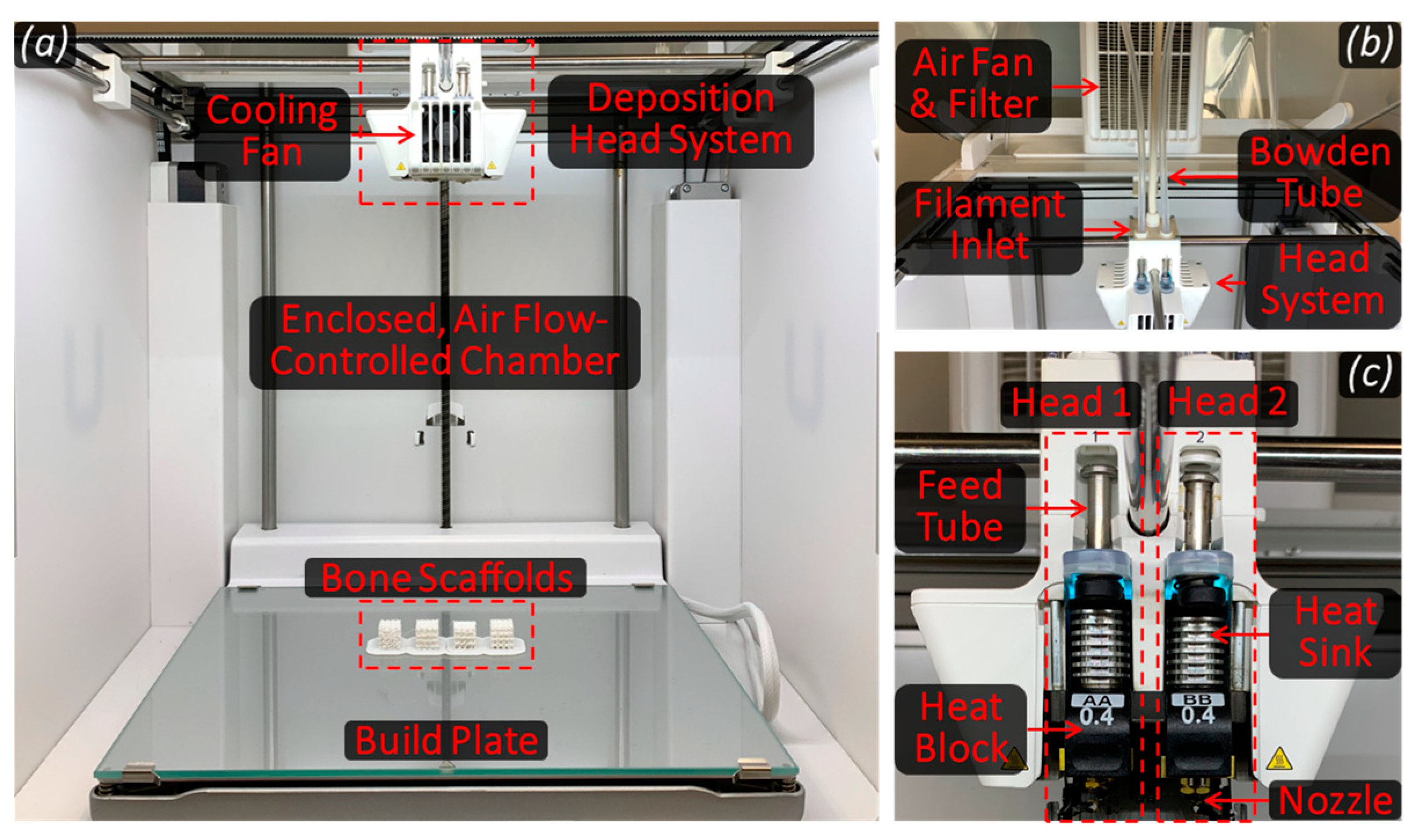 Bioengineering 12 00416 g002