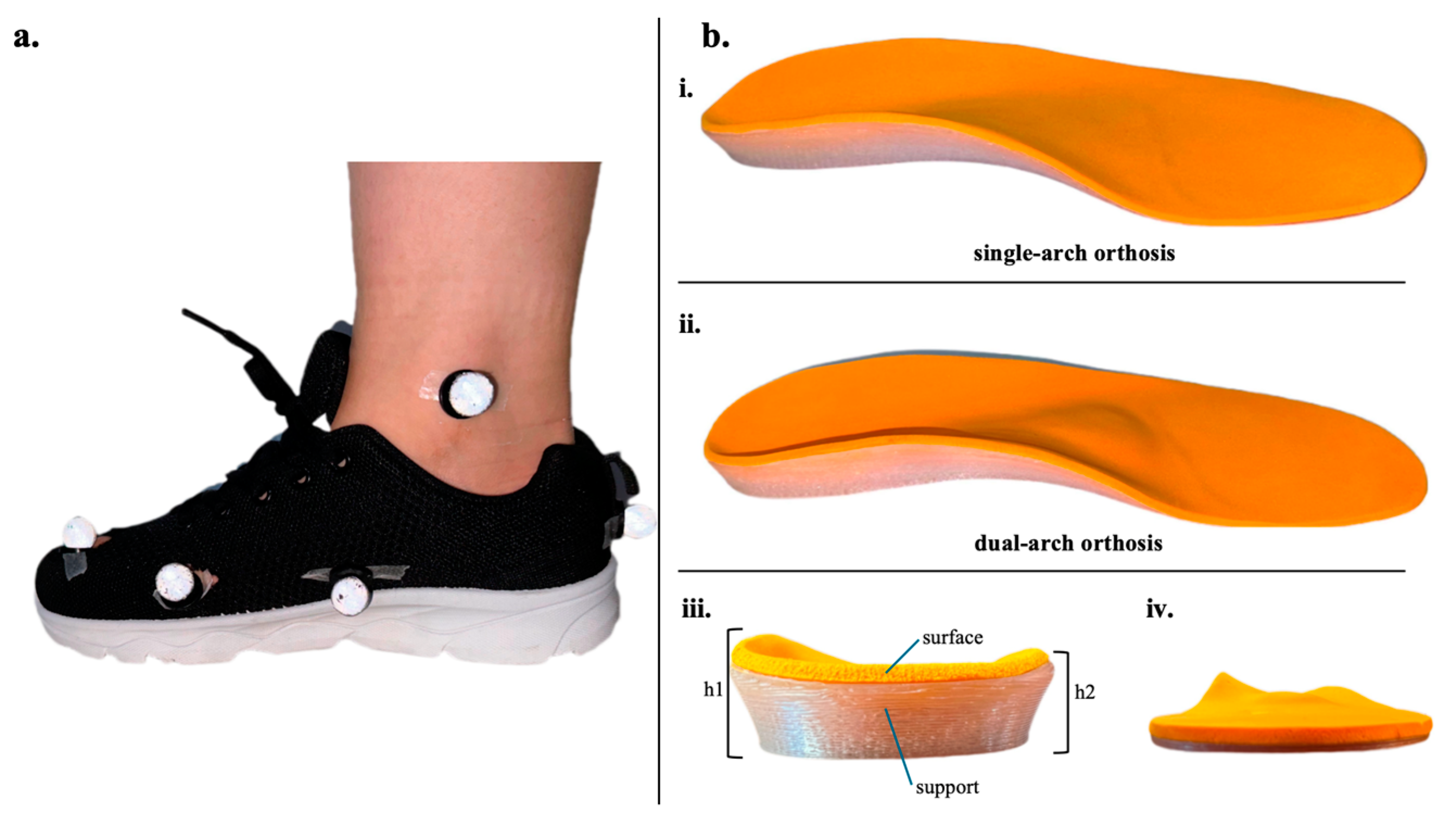 Bioengineering 12 00418 g001