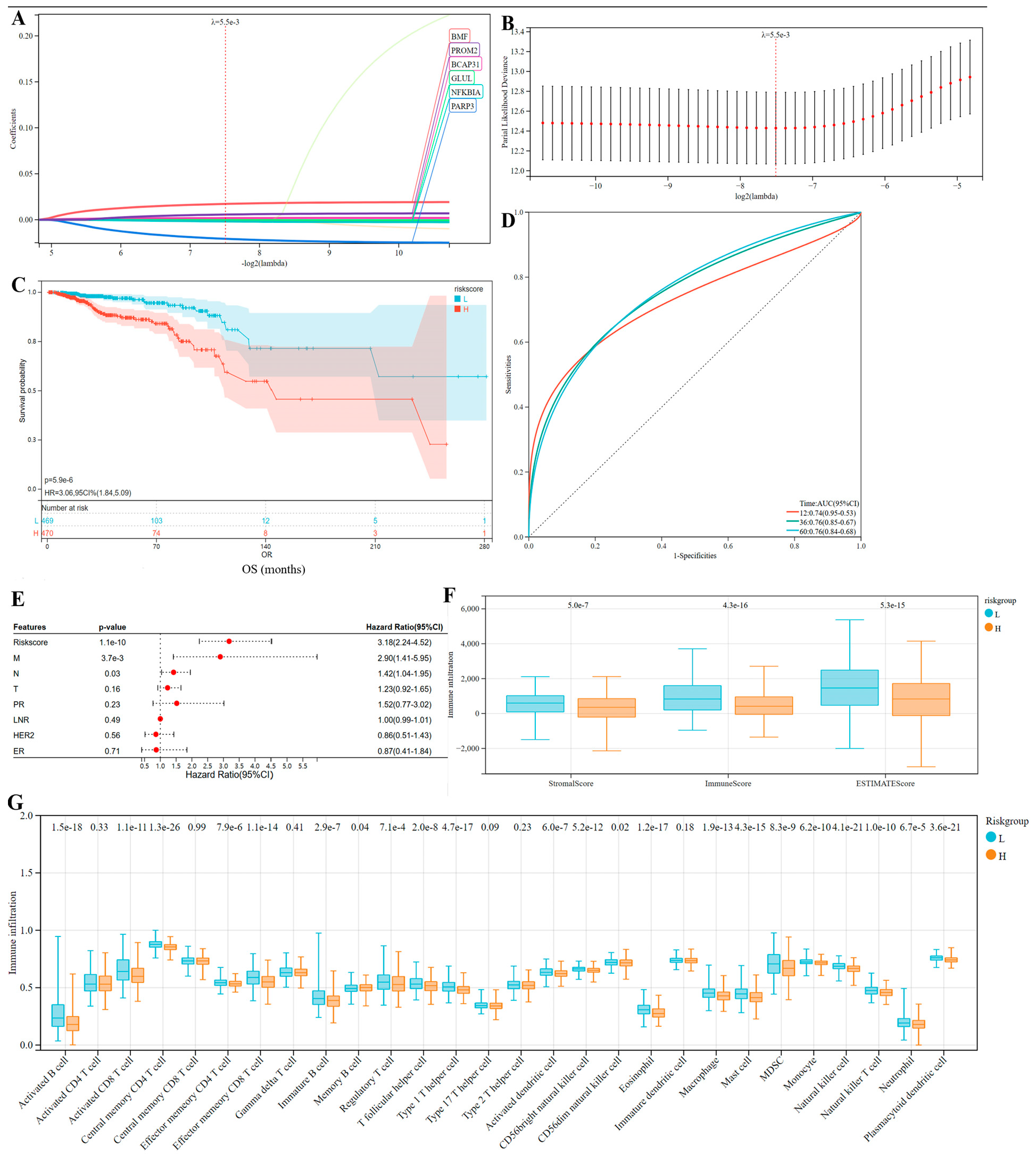 Bioengineering 12 00420 g007