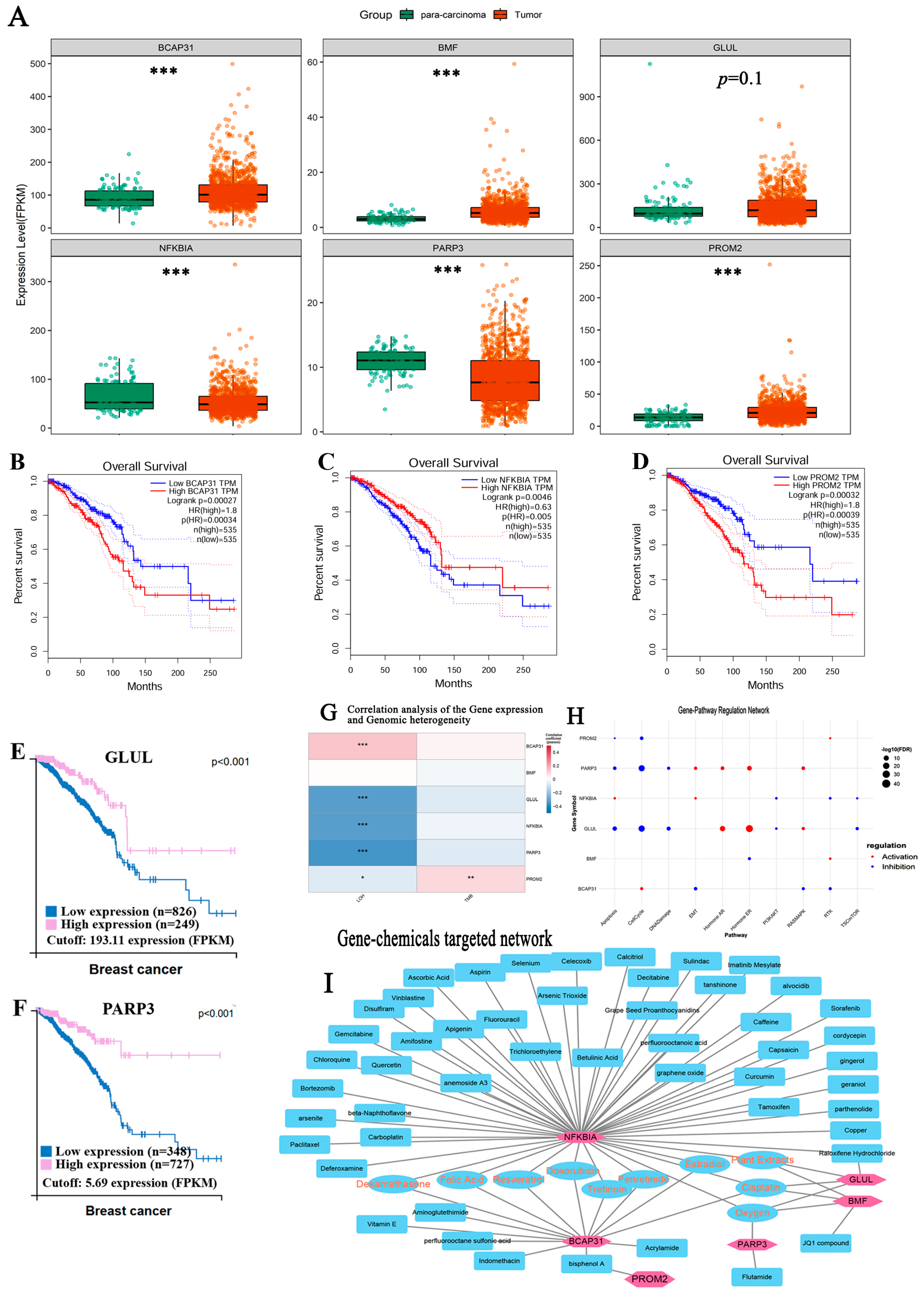 Bioengineering 12 00420 g009