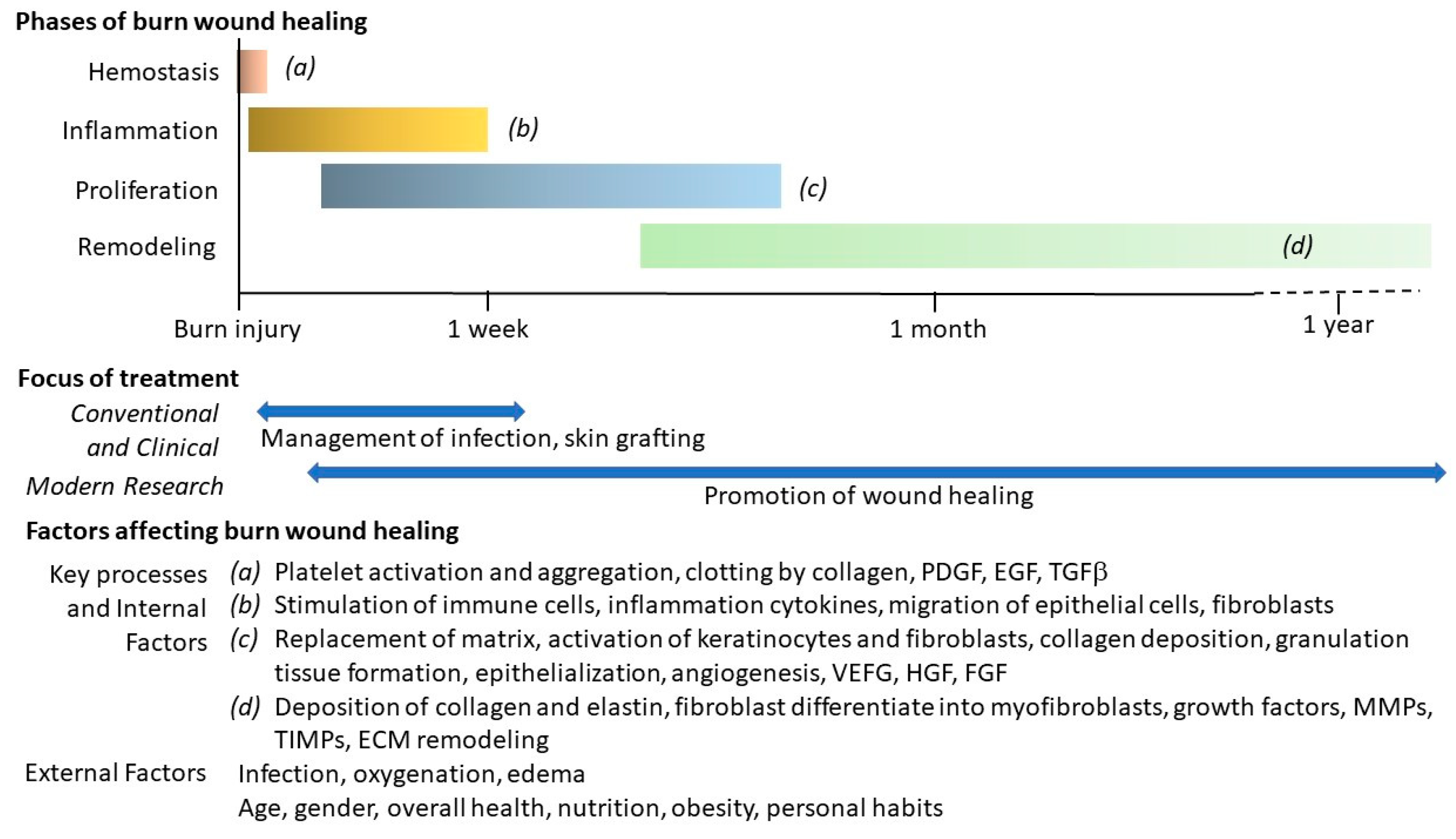 Bioengineering 12 00428 g001