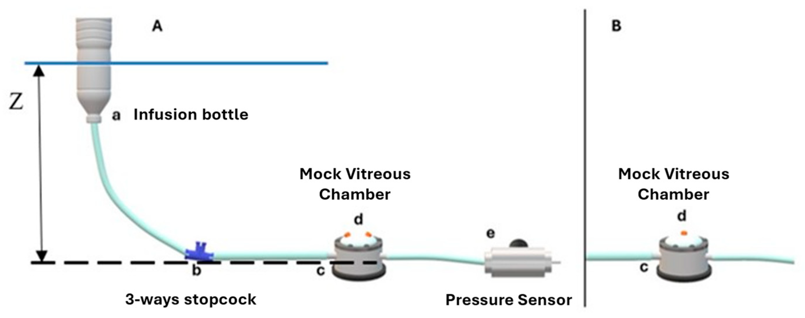 Bioengineering 12 00431 g003
