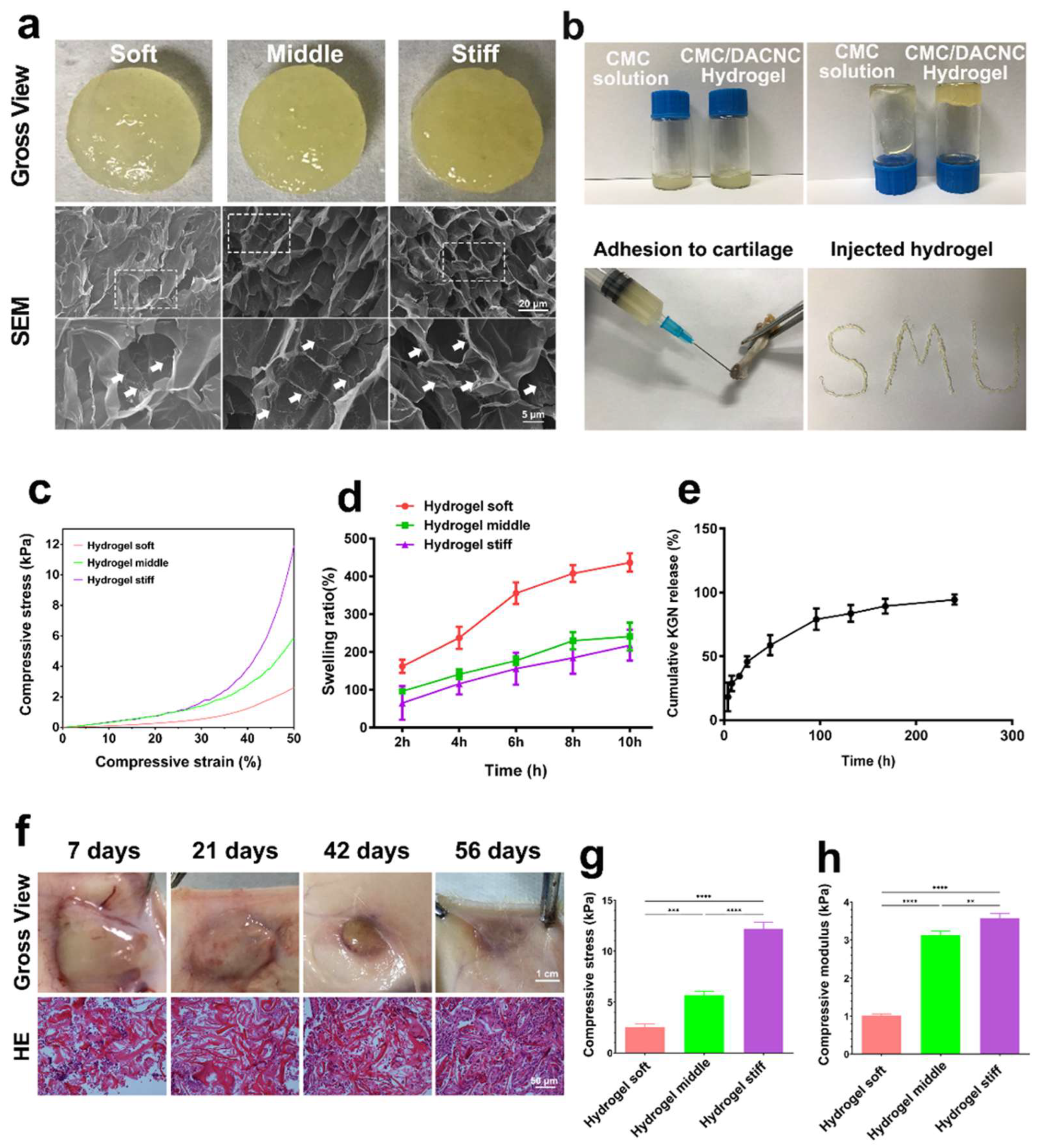 Bioengineering 12 00434 g002