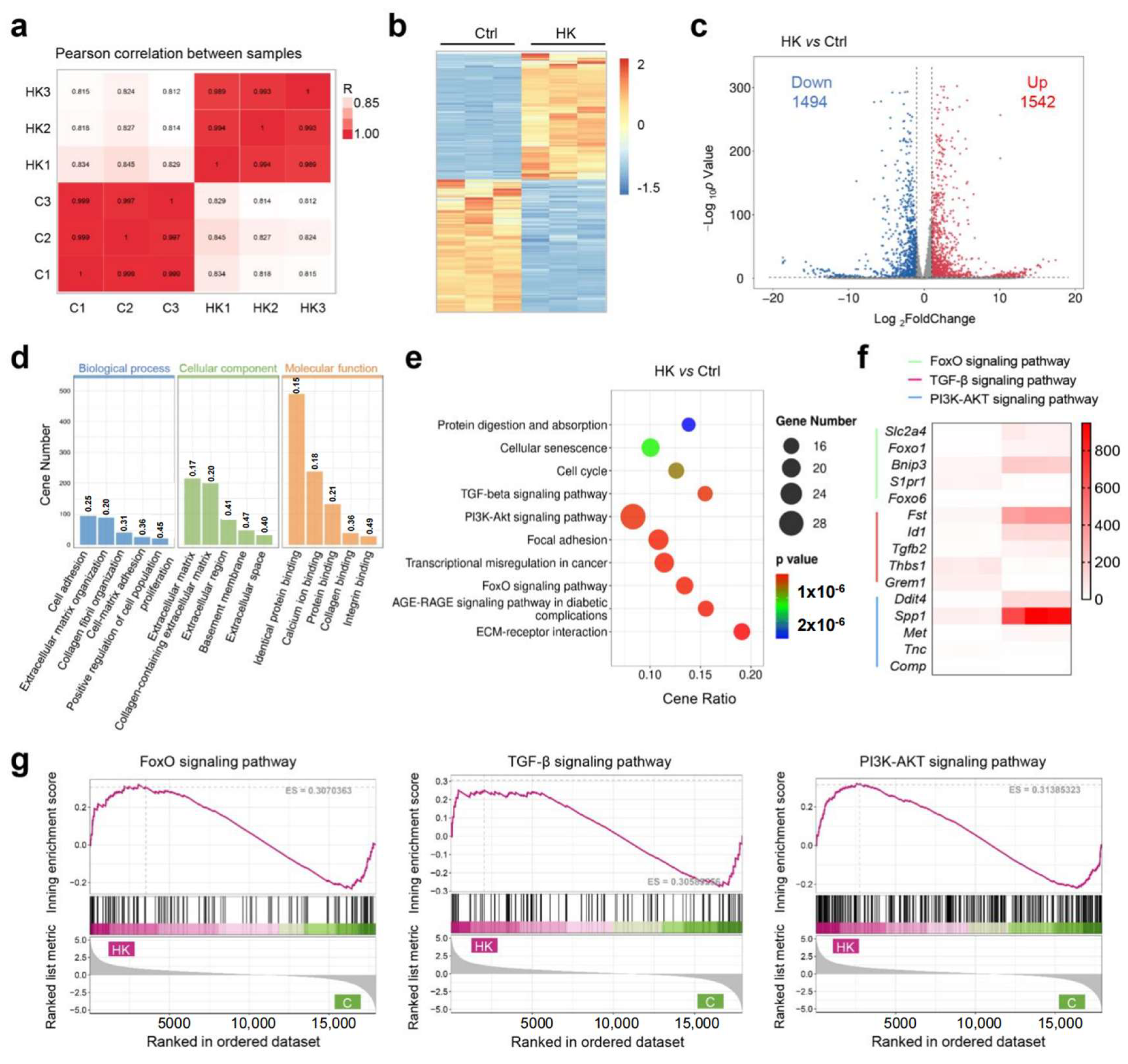 Bioengineering 12 00434 g005