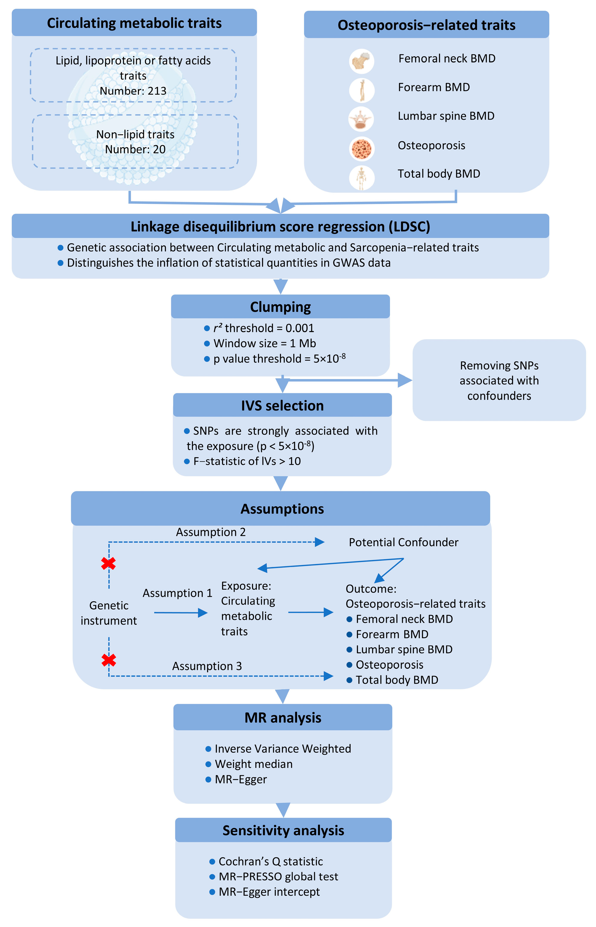 Bioengineering 12 00435 g001