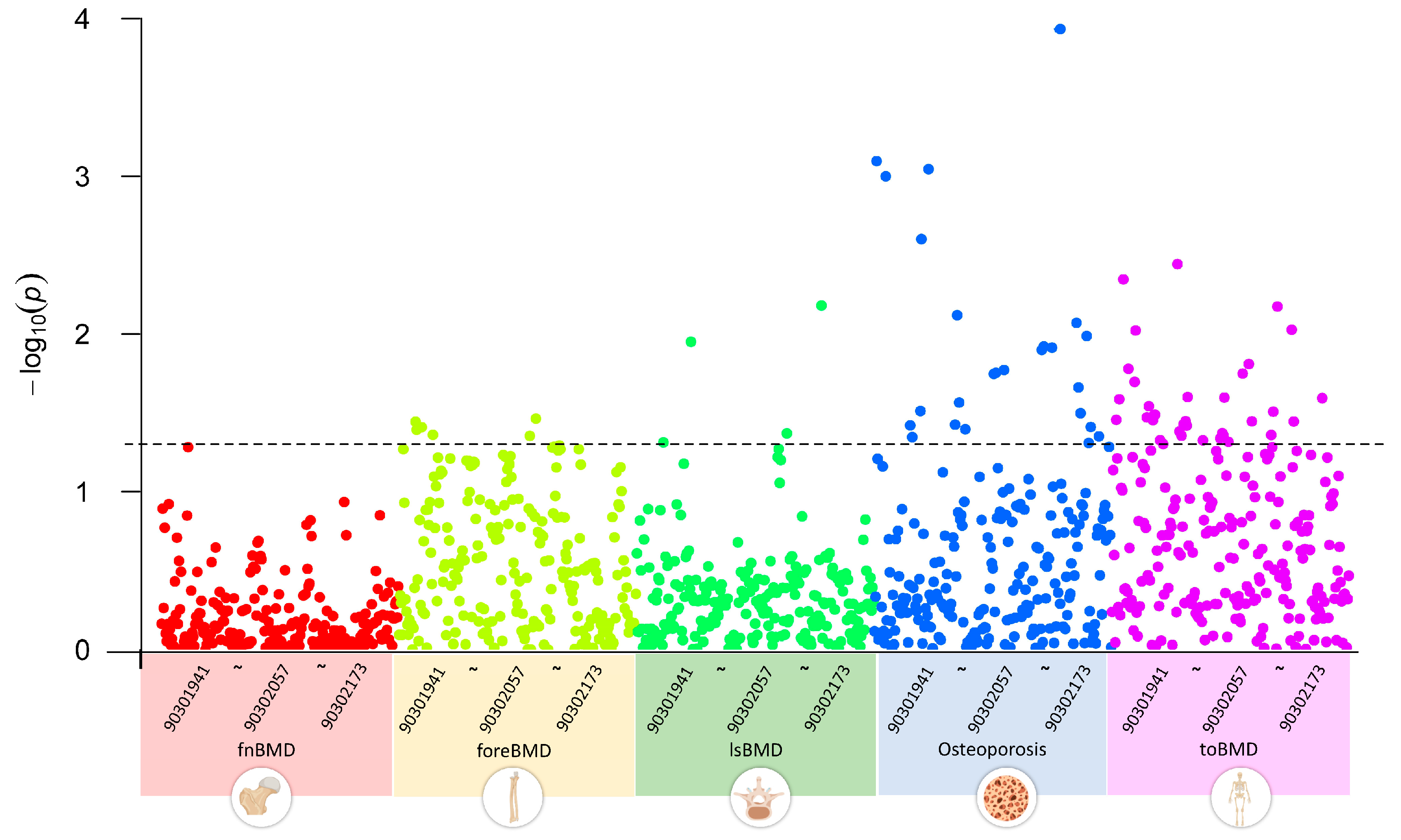 Bioengineering 12 00435 g002
