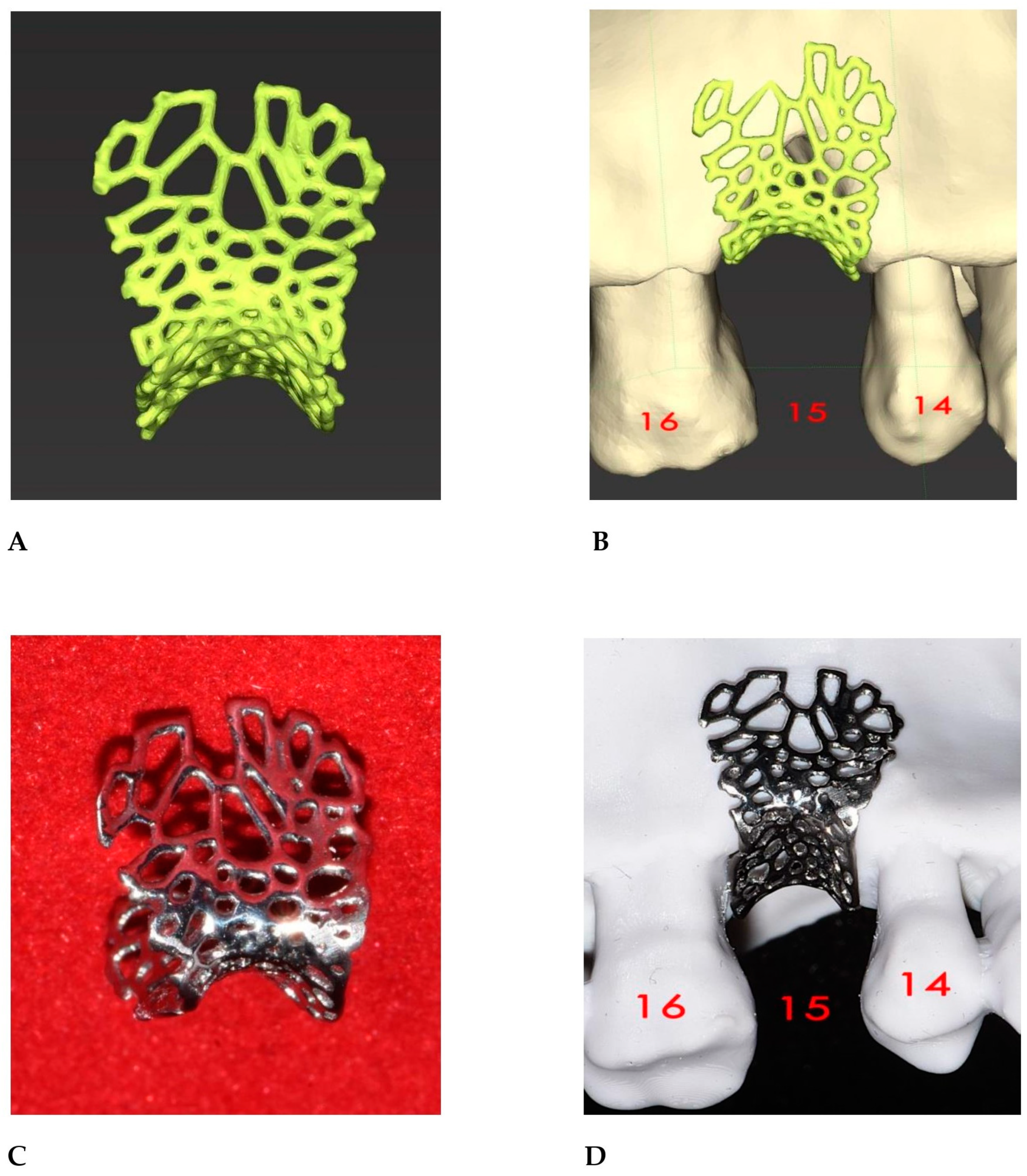 Bioengineering 12 00436 g015