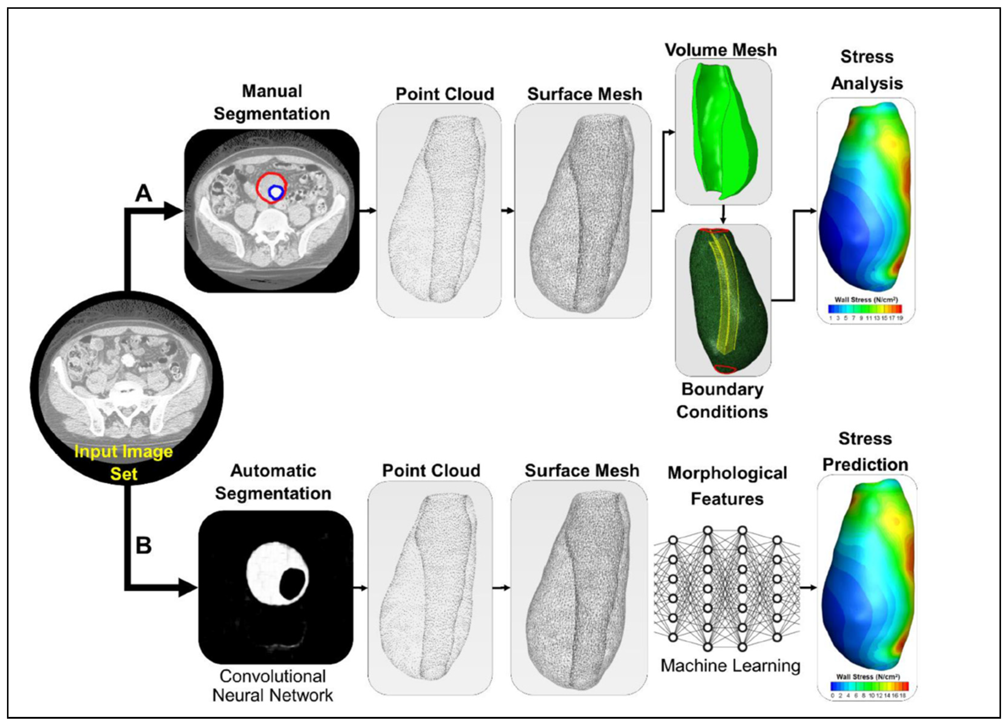 Bioengineering 12 00437 g001