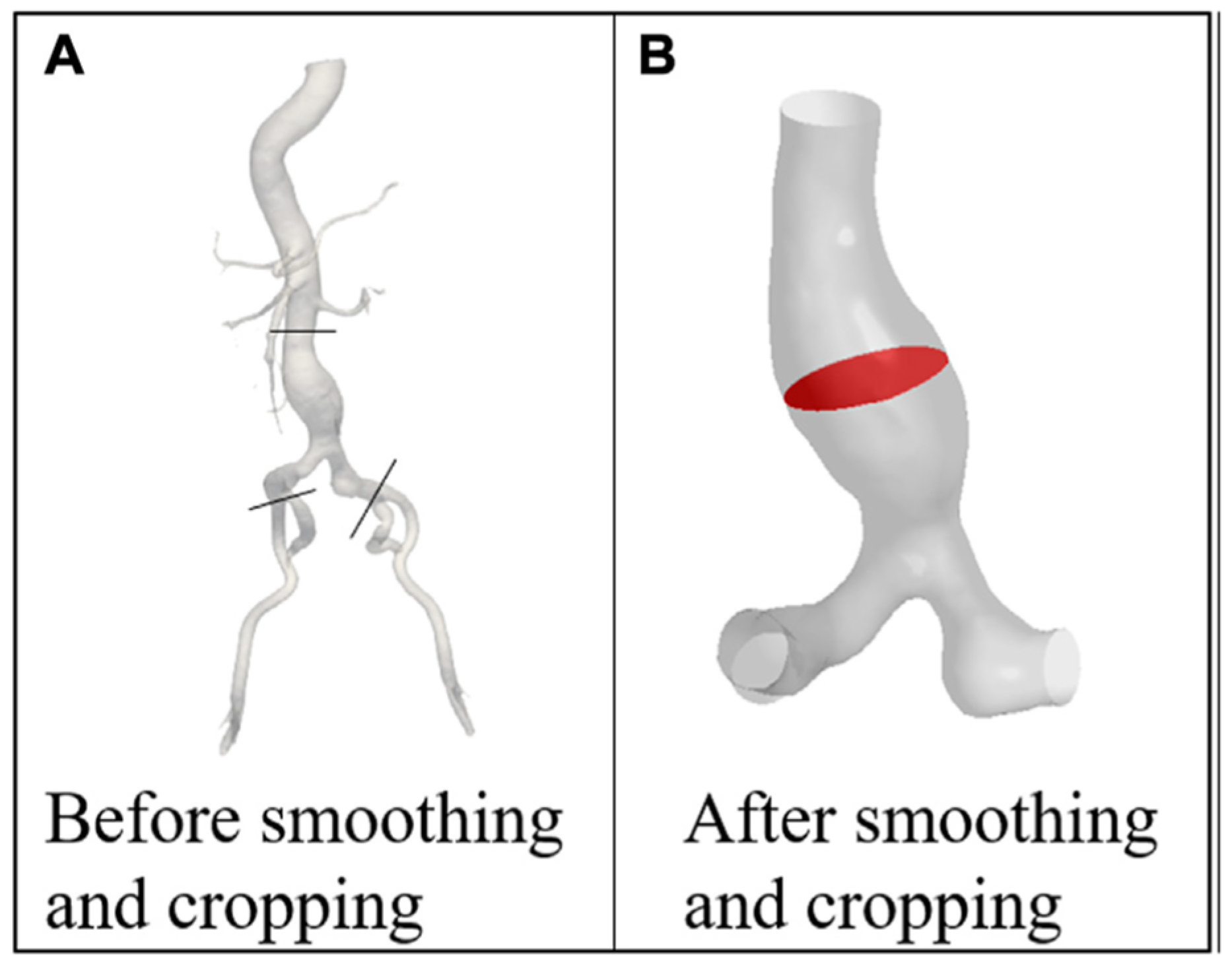 Bioengineering 12 00437 g002