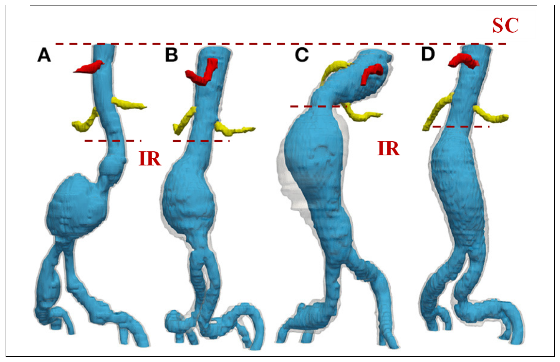 Bioengineering 12 00437 g003