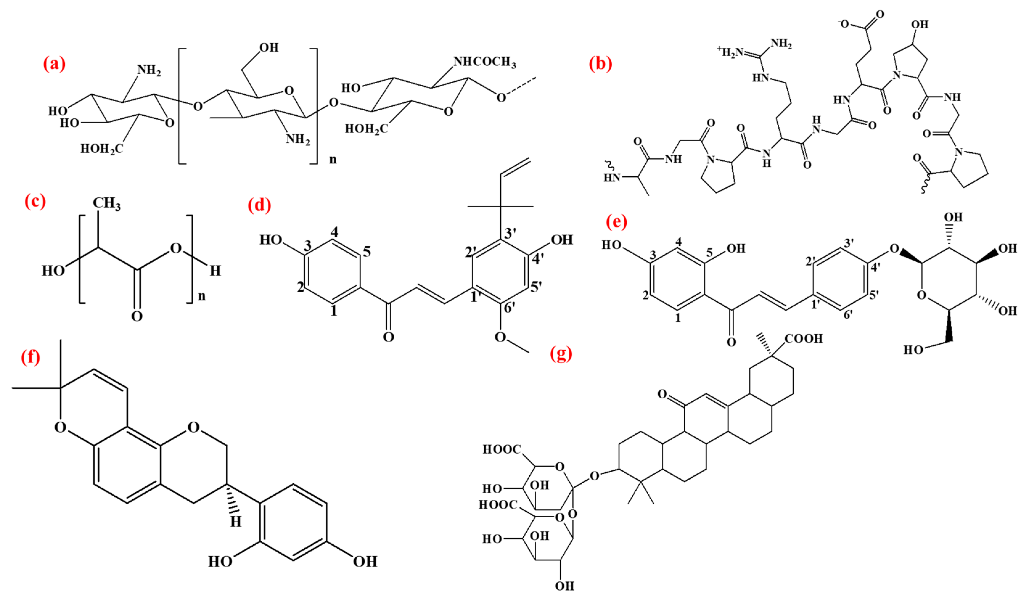 Bioengineering 12 00439 g001